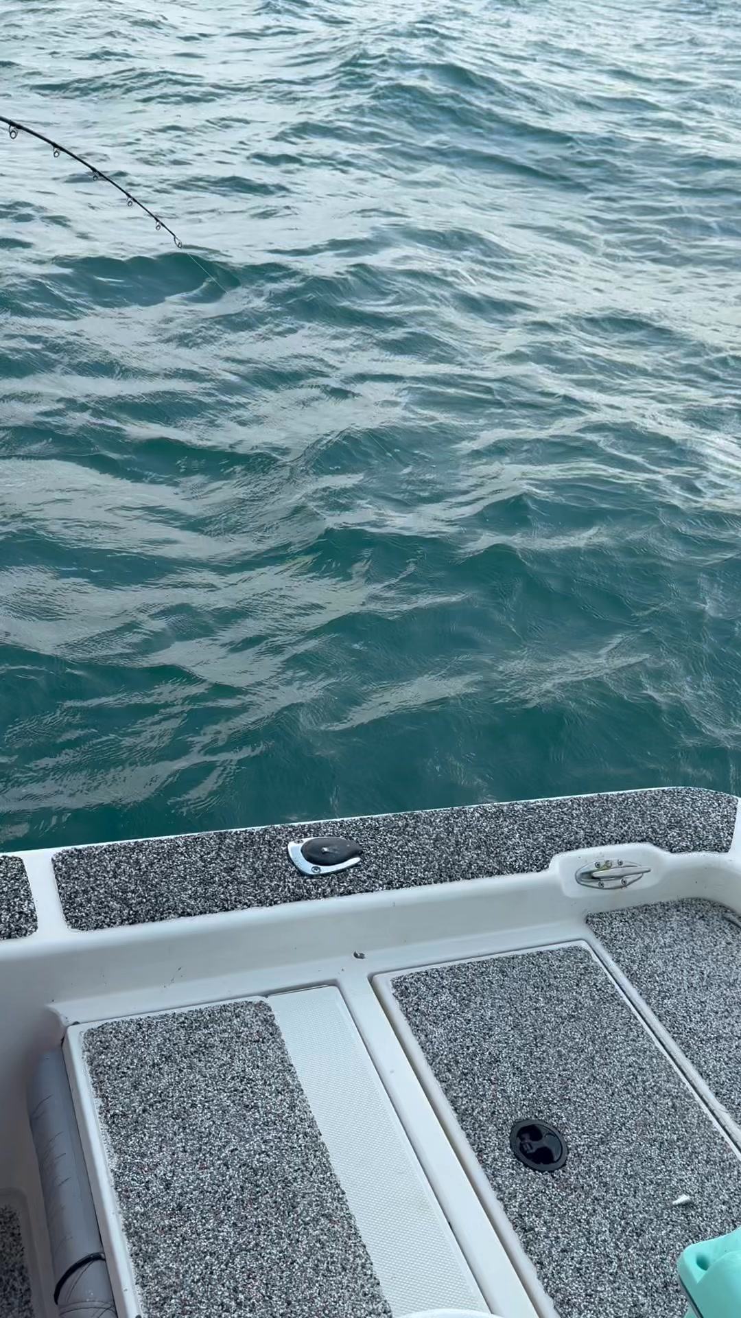 No caption needed who wants to hit the gym they’re here! 
Slobby Joe Charters
Slobbyjoecharters.com