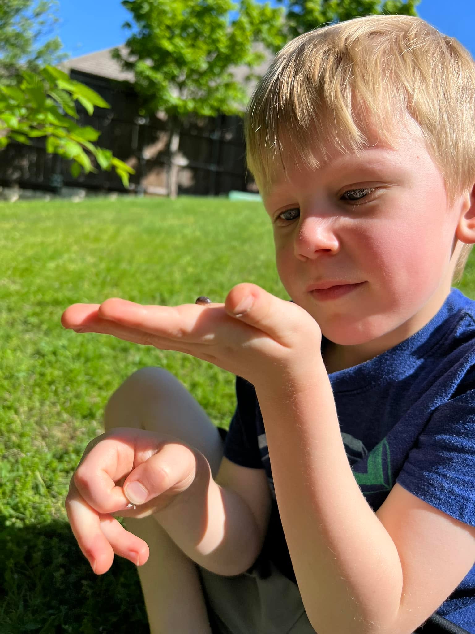 Making new friends in the backyard! 🐜 🐞 🐛