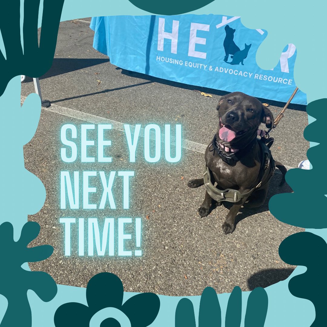 We were so happy to have met beautiful pup Cleopatra at the latest Michelson Found Animals Better Neighbor Project Event. Please join us at the next event! Follow @foundanimals for a list of their events, and Visit https://www.heartla.org/events for a list of all events where you can find HEART LA.