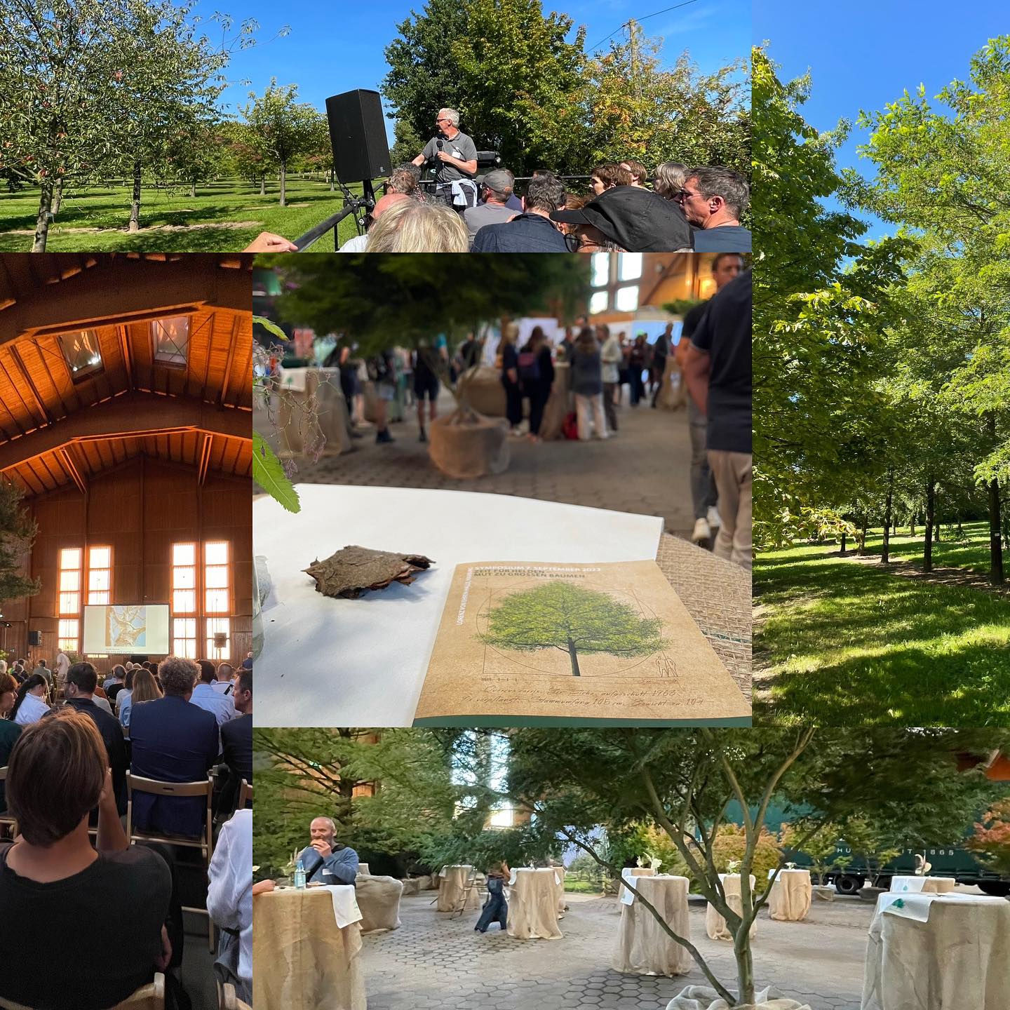 Gestern waren wir beim @baumschulevonehren Symposium dabei, es war eine tolle und sehr informative Veranstaltung. Die Veranstaltung stand unter dem Arbeitstitel Zeit für große Helden. Die großen Helden sind Bäume 🌳. Es gab viele tolle Impulse für die Grünplanung der nächsten Jahrzehnte angepasst an die zukünftigen klimatischen Klimabedingungen.
#baumschule #lve #gartenbau #landschaftsplanung #landschaftsbau #gollo #gollogartenbau #lorenzvonehren #zukunft #klimaschutz #reesegruppe #diegollo #365tagefürsieimeinsatz