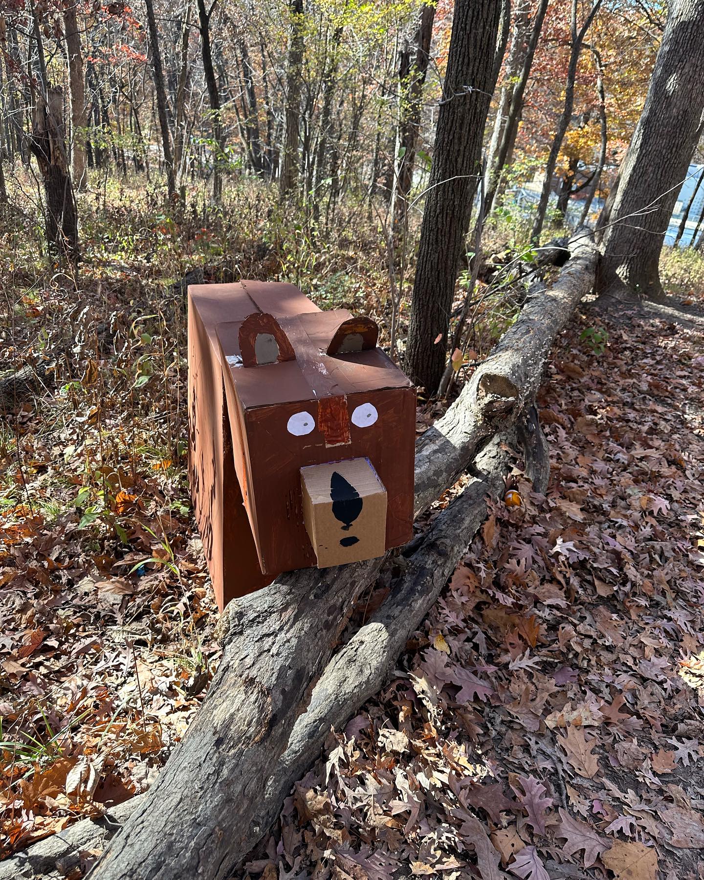 Bergman 5th graders recently finished learning about volume. Connecting to their social science learning, students created animals large and small using several cardboard boxes and calculated their animal’s total volume. The animals were placed out in the woods so younger students could do an “animal hunt” and note their animal sightings. Amazing work Ms. Gilbertson, Mrs. Konrad & 5th Grade!
