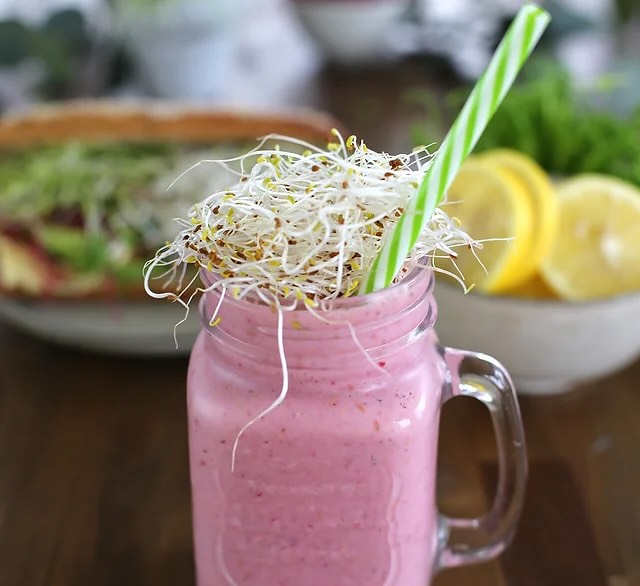 Börja dagen med en groddsmoothie! 🌱
I den här har vi banan, hallon, havredryck och alfalfagroddar! 🍹
#groddar #smoothie #alfalfagroddar #eko #nyttogront