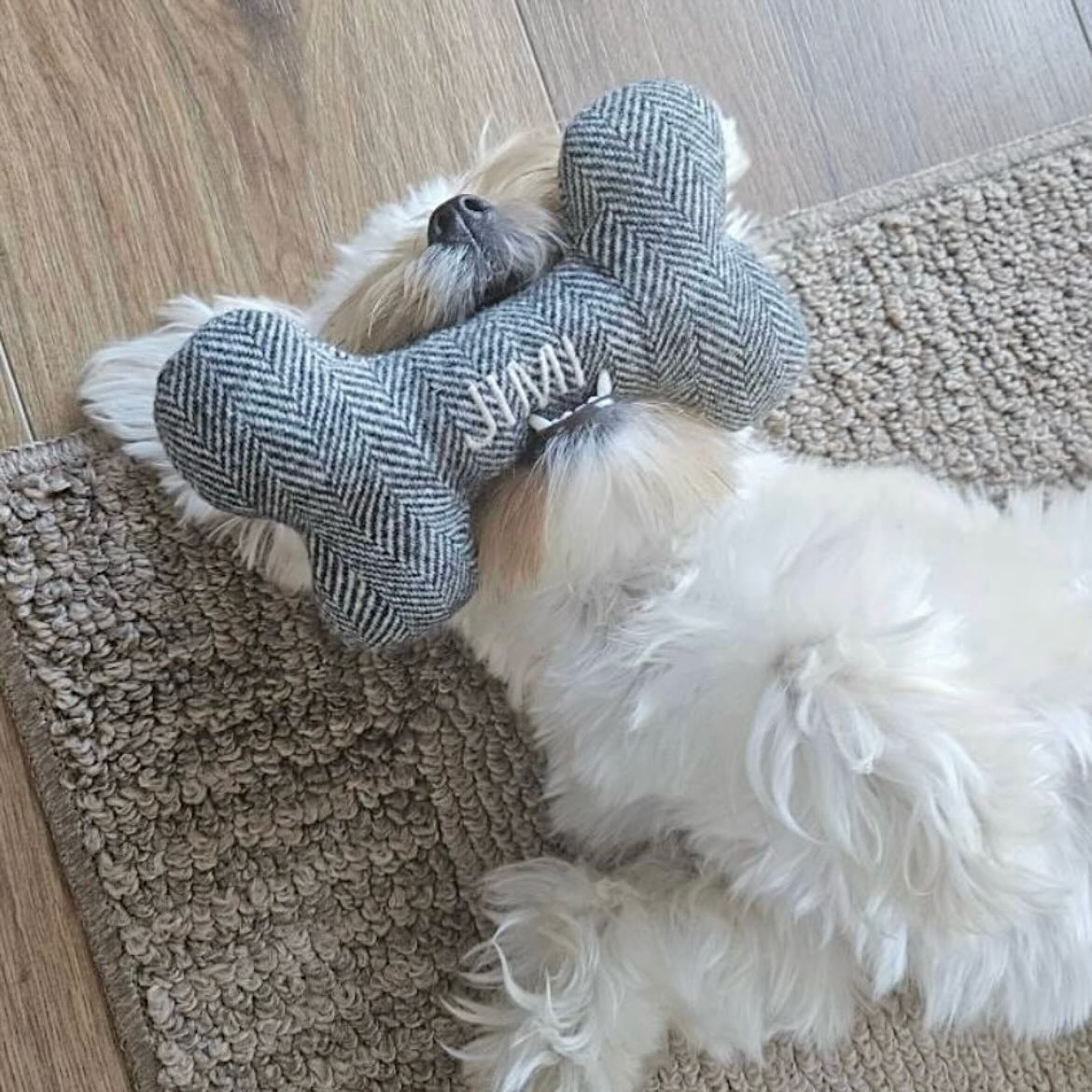 Who do you think is the most ferocious?