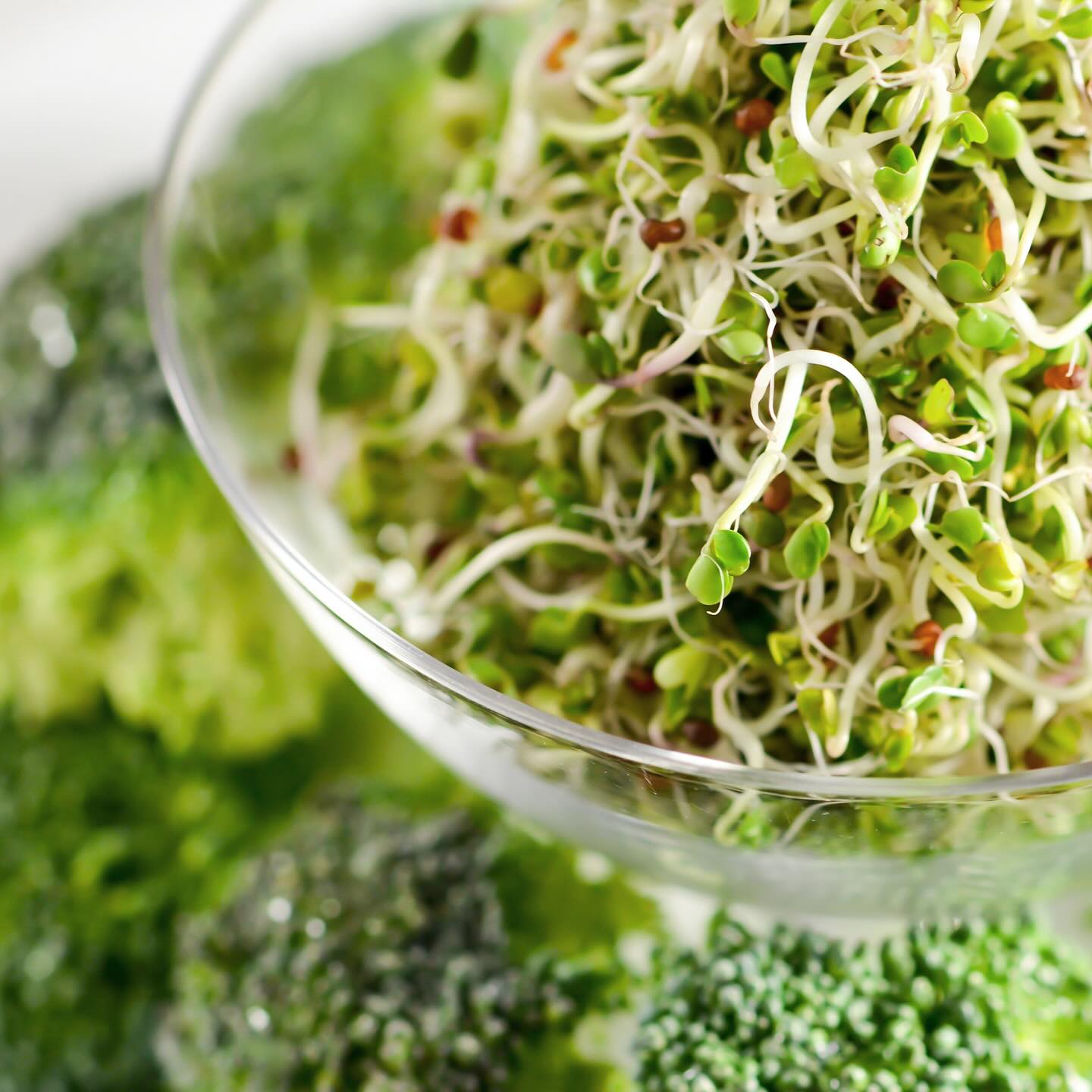 Upptäck fördelarna med broccoligroddar 🌱💚🥦
Dessa små groddar är fulla med antioxidanter, vitaminer och mineraler som är bra för immunförsvaret 💪🏼
Precis som våra andra groddar är de ett gott och nyttigt inslag i sallader, på smörgåsen, i wraps eller i smoothien.
Boosta din mat med lite broccoligroddar 🌱
Våra broccoligroddar är både ekologiska och KRAV-märkta! @kravmarkt 🌎🫶🏼
#broccoligroddar #groddar #sprouts #broccolisprouts #eko #ekologiskt #närodlat #svenskt #frånsverige #superfoods