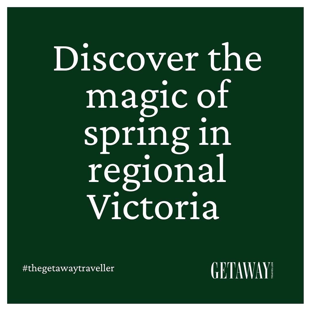 Discover the magic of spring in regional Victoria
#VictoriaEscapes, #ExploreRegionalVictoria, #TravelRegionalVictoria, #RegionalVictoria, #TranquilGetaway, #TheGetawayTraveller, #Spring,