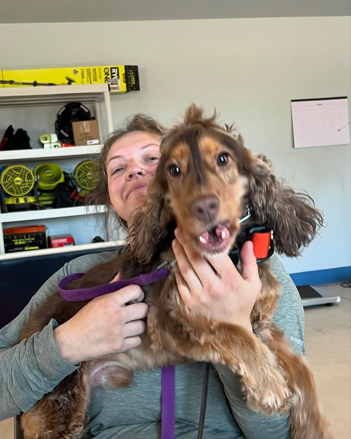 Mussel Dogs and Minnow are happy to have Madison of @destinationcanines at our facilities working with our pack for a couple weeks. New school vs old school 😂