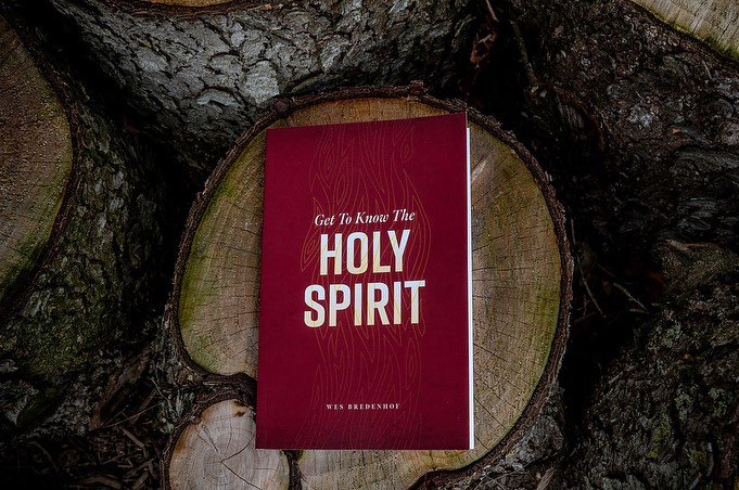 Have you heard?
We at Providence have been blessed to release our first book! We are excited with how it turned out. We hope it will be a blessing to many in the Christian community, as well as provide a better understanding of the work and person of the Holy Spirit.
We are excited that it is also currently available @wts_books in the US and @proecclesia.bookshop in Australia!
#reformedtheology
#reformedpublishing
#gettoknowtheholyspirit
#wesbredenhof
#wtsbooks
#holyspirit
