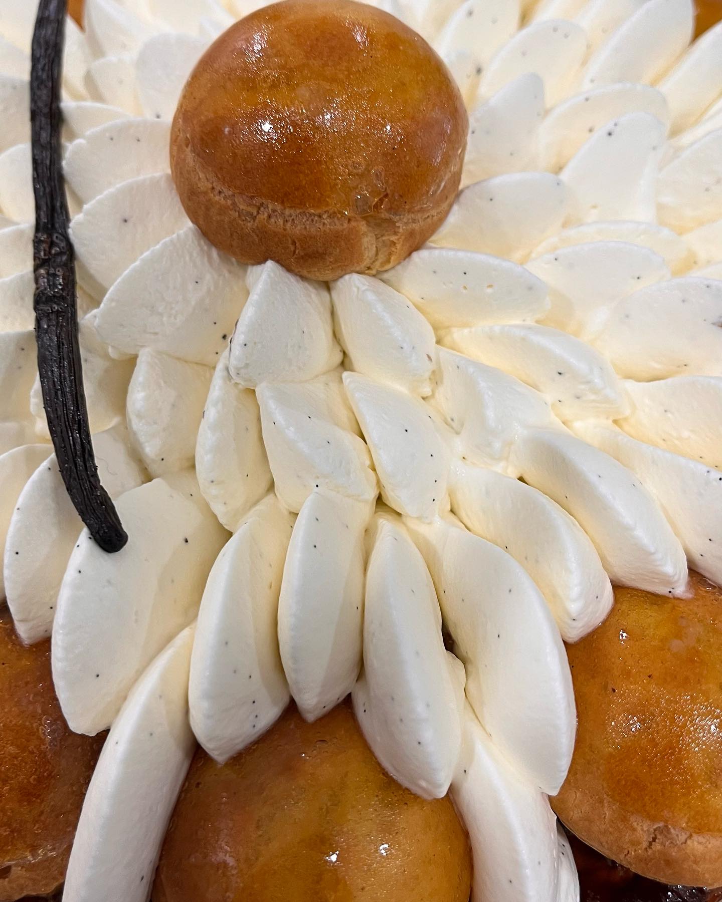 #sthonore close up to this beauty ✨✨✨