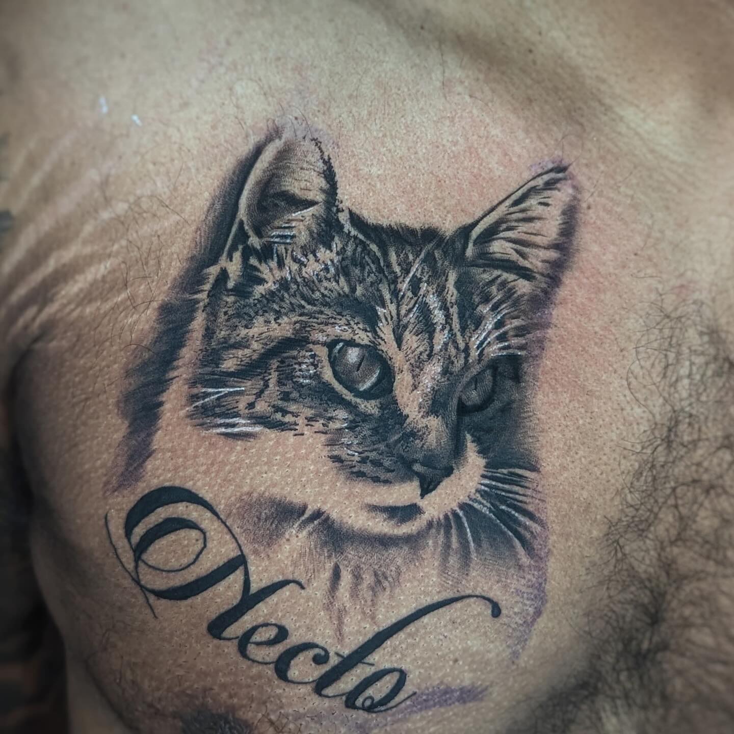 Black and Grey cat by Sam.
For bookings and information..
07879895656
#tattoo #tattoos #tattooist #tattooart #tattooideas #tattooartist #tattoo2me #blackandgreytattoos #tattooblackandgrey #besttattoos #coventrytattoo #tattoocoventry