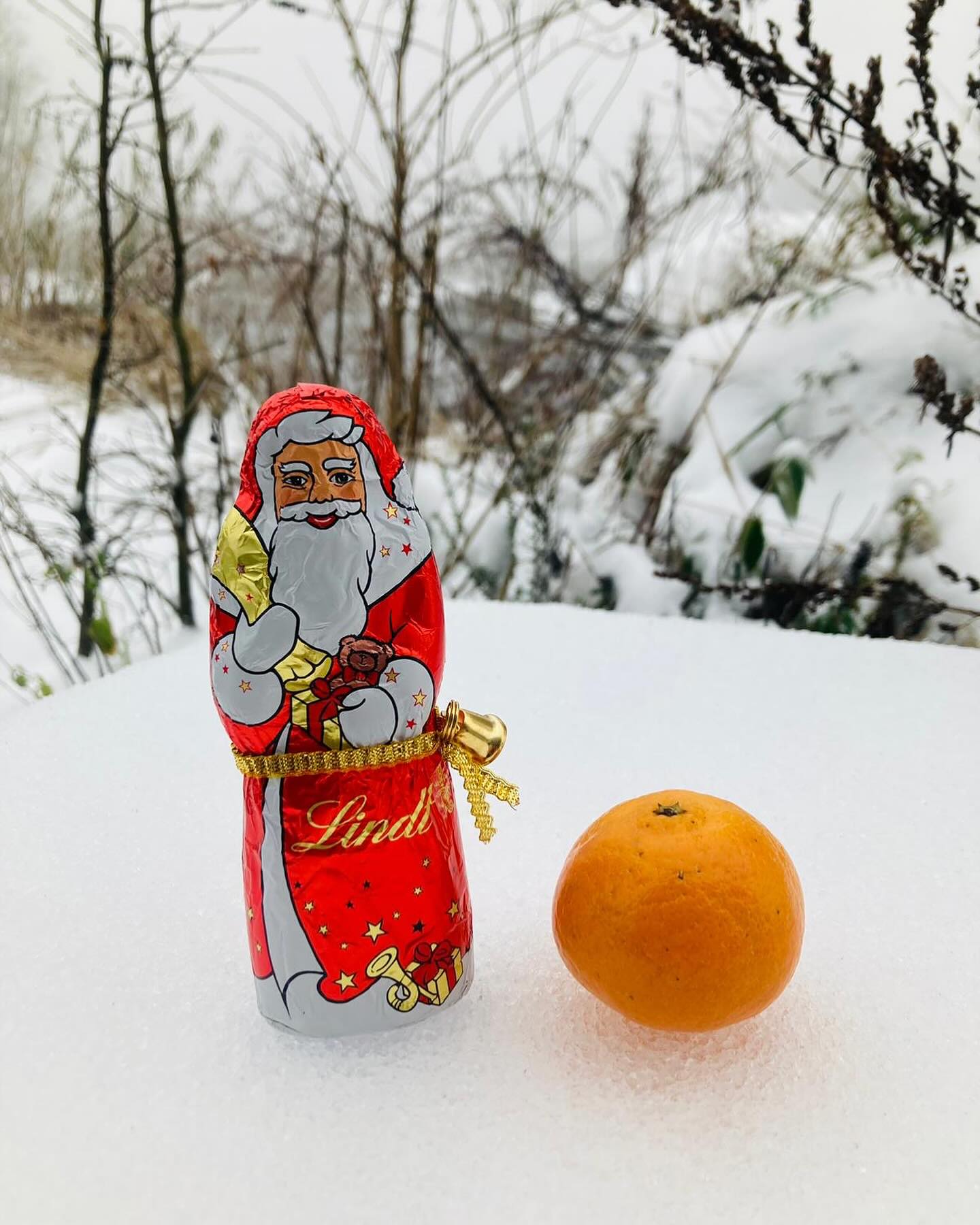 Winterzauber bei Gollo in Vastorf! Der Nikolaus hat unsere verschneiten Gärten besucht und sich von der winterlichen Pracht verzaubern lassen. Unsere Gollo-Mitarbeiter strahlen vor Freude! Der Nikolaus hat sie in bei seinem Besuch in Vastorf selbstverständlich nicht vergessen und für festliche Stimmung gesorgt. Danke an unser fantastisches Team, das auch im Winter mit Herz und Leidenschaft für grüne Träume sorgt! 💚❄️
#TeamSpirit #GolloFreude #WinterMagic #gollo #gartenbau #gärtner #galabau #reese #reesegruppe #gartenundlandschaftsbau #diegollo #nikolaus #winter #gärtner #garten #schnee #gollogartenbau #365tagefürsieimeinsatz