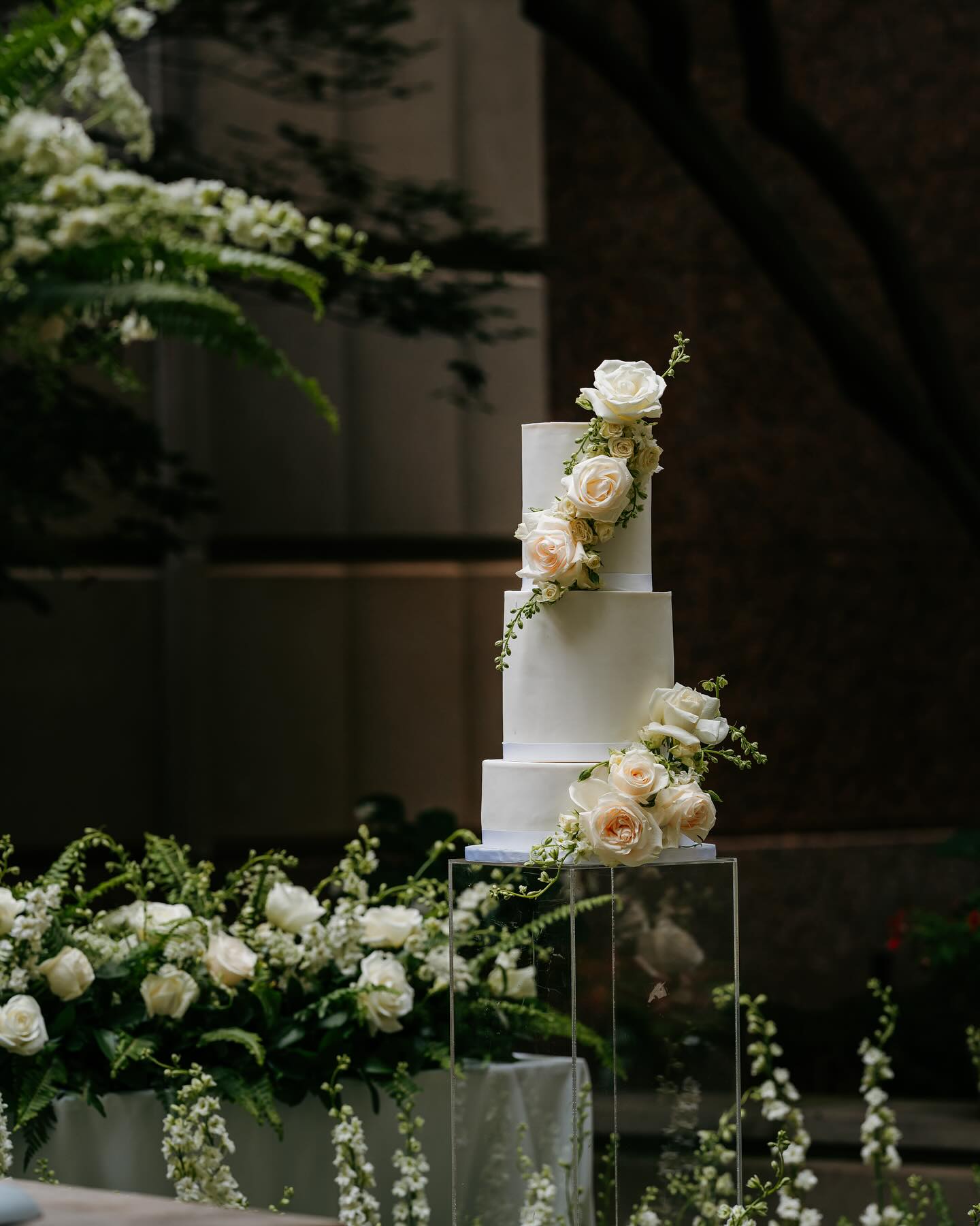“Love is sweet, but this cake is even sweeter. Celebrating a lifetime of love and happiness with the most delicious centerpiece. #WeddingCakeGoals #SweetLoveStory”
#ashtonmariecakesllc #ashtonmariecakes #dallaswedding #dallastexas #dallas #bridal #featuredartist #midlothiantx #cakedesign #weddingceremony #weddingreception ##romantic #romance #beautiful #cakedesigner #cakeartist
Photo Credit: @silver bear creative
Planner/Director/Floral: @raelawson_events
Rental: @poshcouturerentals
Venue: @hotelcrescentcourt
@wedsociety.austin