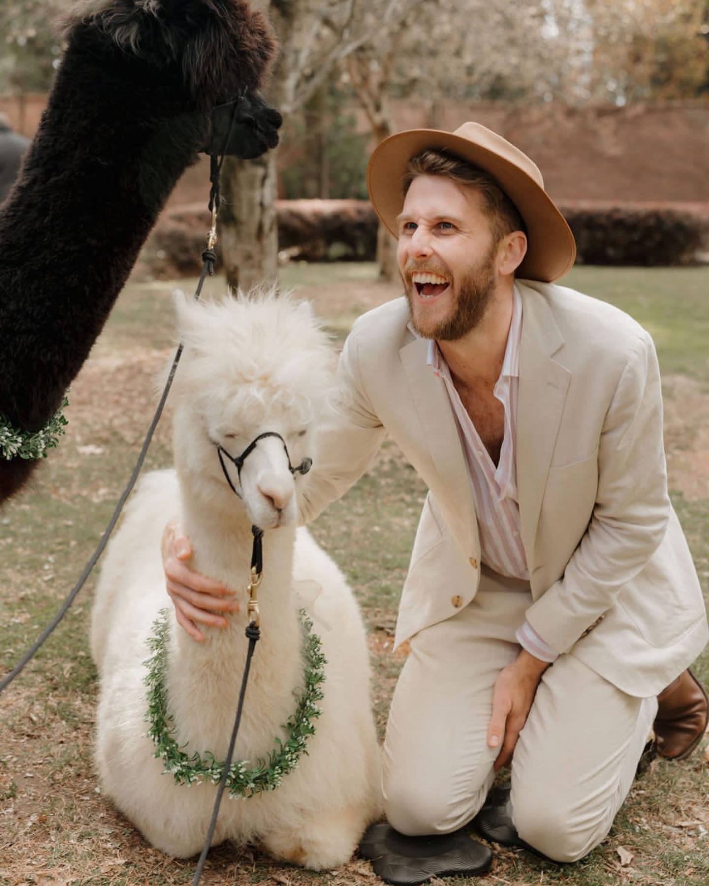 Not all wedding guests are created equal.
Gimme an alpaca any day.
Any day of the week, you name it. Name the day. Do it. Coward.
šø @marynacherednikova