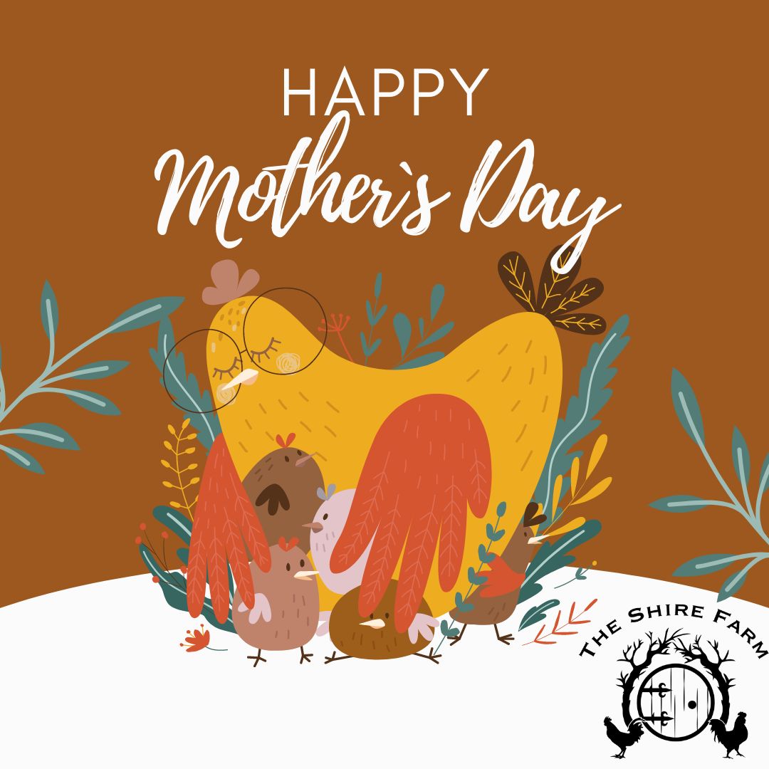 Happy Mother's Day <3
#mothersday #happymothersday2025
#growninohio #knowyourfarmer #knowwhereyourfoodcomesfrom