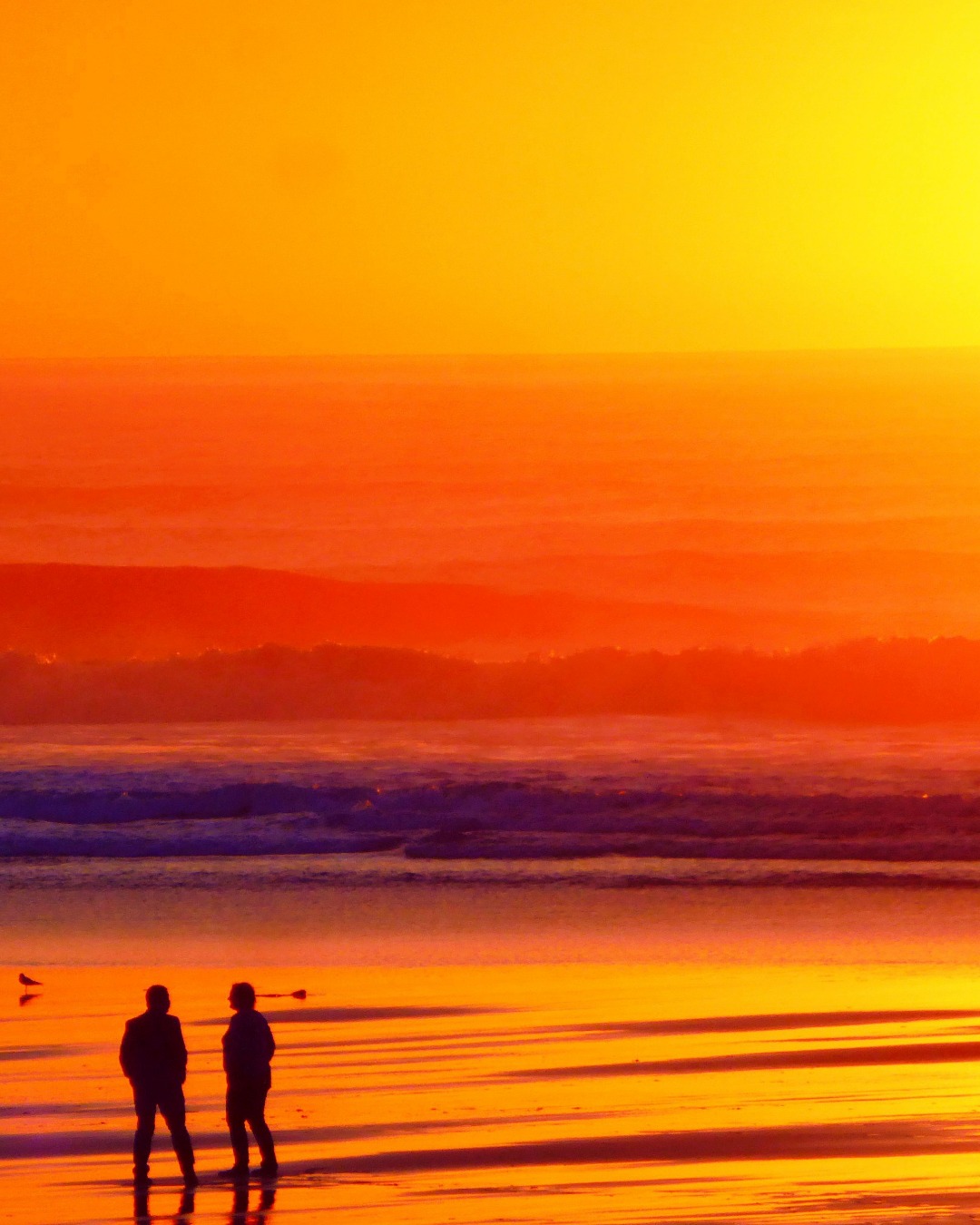 Nothing quite like a sunset walk along the beach 🧡
📸Sunset walk at Eoropie Sofi-Ona Hamer
#visitnorthlewis #northlewis #isleoflewis #visitouterhebrides #outerhebrides #sunset #sunsetwalk #beachwalks #eoropie #westernisles #explorescotland