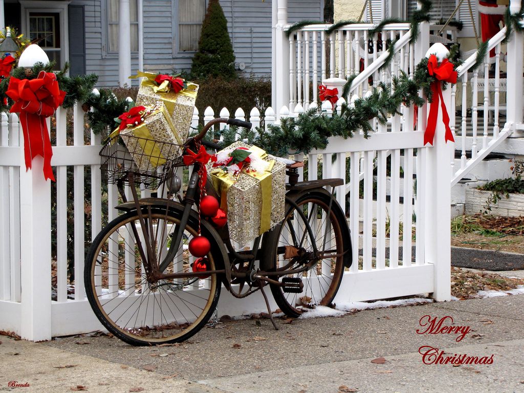 HOLIDAY RENTAL SPECIAL!
Rent a single speed bike any time this week with a scheduled pickup on 1/2/25 and get the whole rental for $50 (a $100+ value)! Must be done over the phone to receive the discount, so call today 252-888-5858!