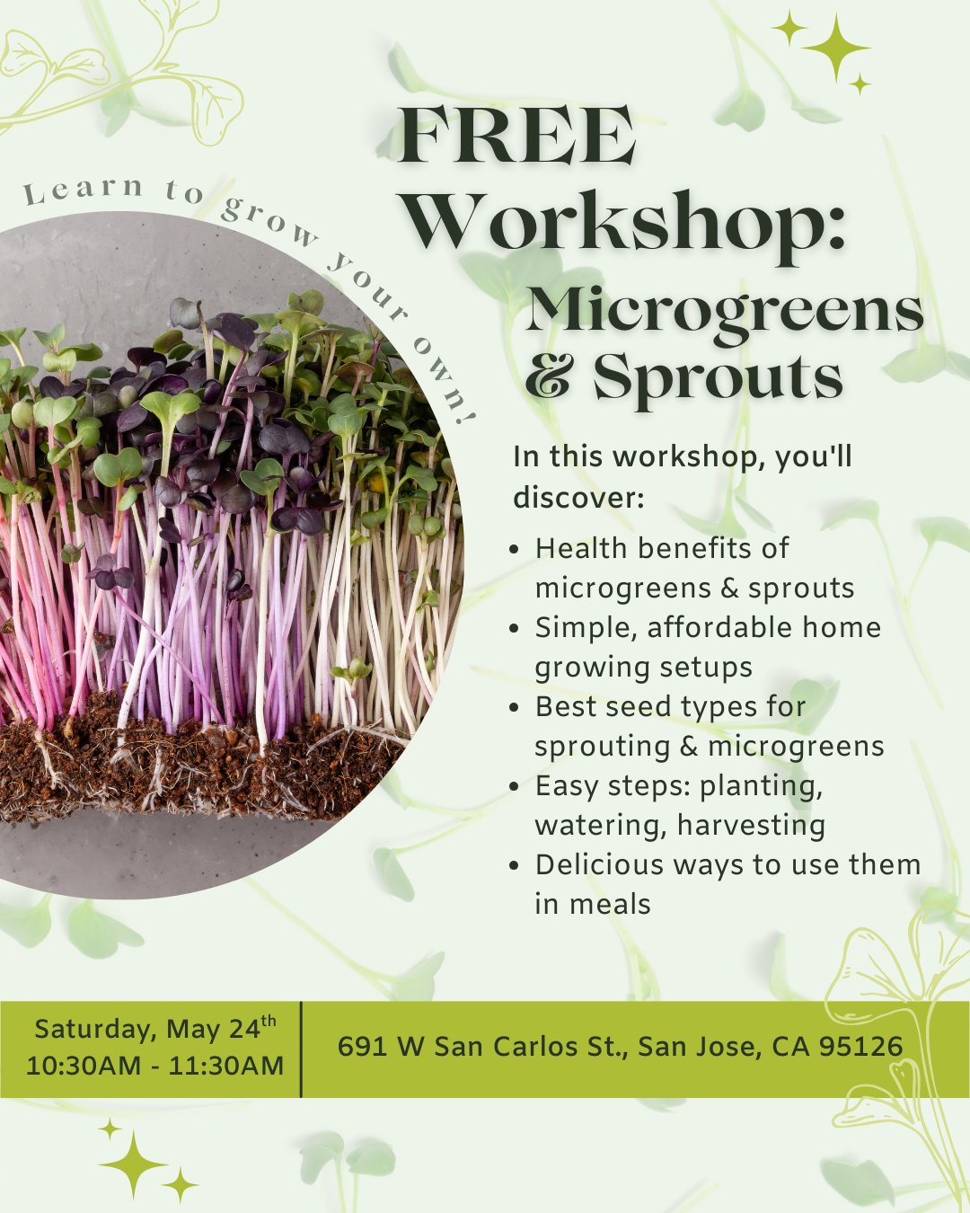 🌱 FREE Workshop Alert, San Jose! 🌱
Want to learn how to grow your own nutrient-packed goodness? Join our FREE Microgreens & Sprouts Workshop on Saturday, May 24th!
🗓️ Date: Saturday, May 24th
⏰ Time: 10:30 AM - 11:30 AM
📍 Location: 691 W San Carlos St., San Jose, CA 95126
No cost, just pure green knowledge! Come learn to grow your own delicious and healthy additions to any meal. 💚
--
🌱 ¡Alerta de Taller GRATUITO, San José! 🌱
¿Quieres aprender a cultivar tus propias maravillas llenas de nutrientes? ¡Únete a nuestro Taller GRATUITO de Microgreens y Brotes el sábado 24 de mayo!
🗓️ Fecha: Sábado, 24 de mayo
⏰ Hora: 10:30 AM - 11:30 AM
📍 Ubicación: 691 W San Carlos St., San José, CA 95126
¡Sin costo, solo conocimiento verde puro! Ven y aprende a cultivar tus propias adiciones deliciosas y saludables para cualquier comida. 💚
#Microgreens #Sprouts #FreeWorkshop #SanJose #BayArea #GrowYourOwn #HealthyEating #UrbanGardening #Homegrown #Foodie #PlantBased #Nutrition #DIYFood #SJEvents