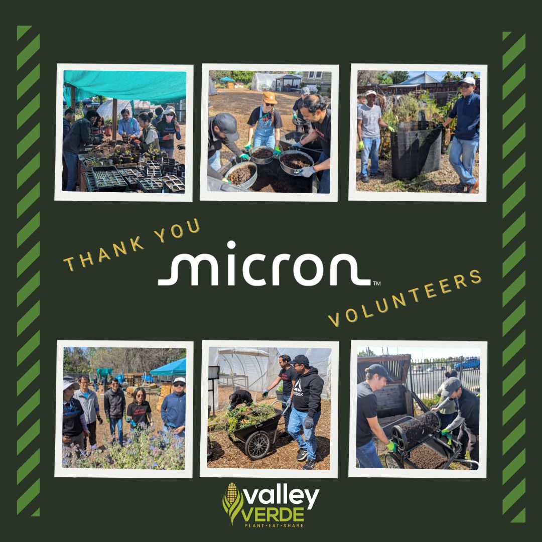 A huge thank you to the incredible team from Micron Technology who volunteered with us last month! We're so grateful for your hard work and dedication. Your efforts made a real difference, and we loved having you here! @we_are_micron #MicronGives #stemeducation #EcoAction #CommunityPower #sanjose