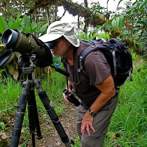 🌿✨ Birdwatching in Santa Lucía: Where the forest sings
Over 400 bird species live in the cloud forest of Santa Lucía — from the elusive Broad Winged Hawk to the dazzling Flame-faced Tanager.
Join our guided tours and discover rare species in one of Ecuador’s most biodiverse reserves. Our local guides will lead you through magical trails where nature speaks through color, sound, and silence.
📩 Ready for the experience? Contact us today or visit:
www.santaluciaecuador.com
#BirdwatchingEcuador #SantaLucíaExperience #CloudForestBirds #EcoTourism #NatureLovers #WildlifeWatching #AndeanChocó #BirdingParadise