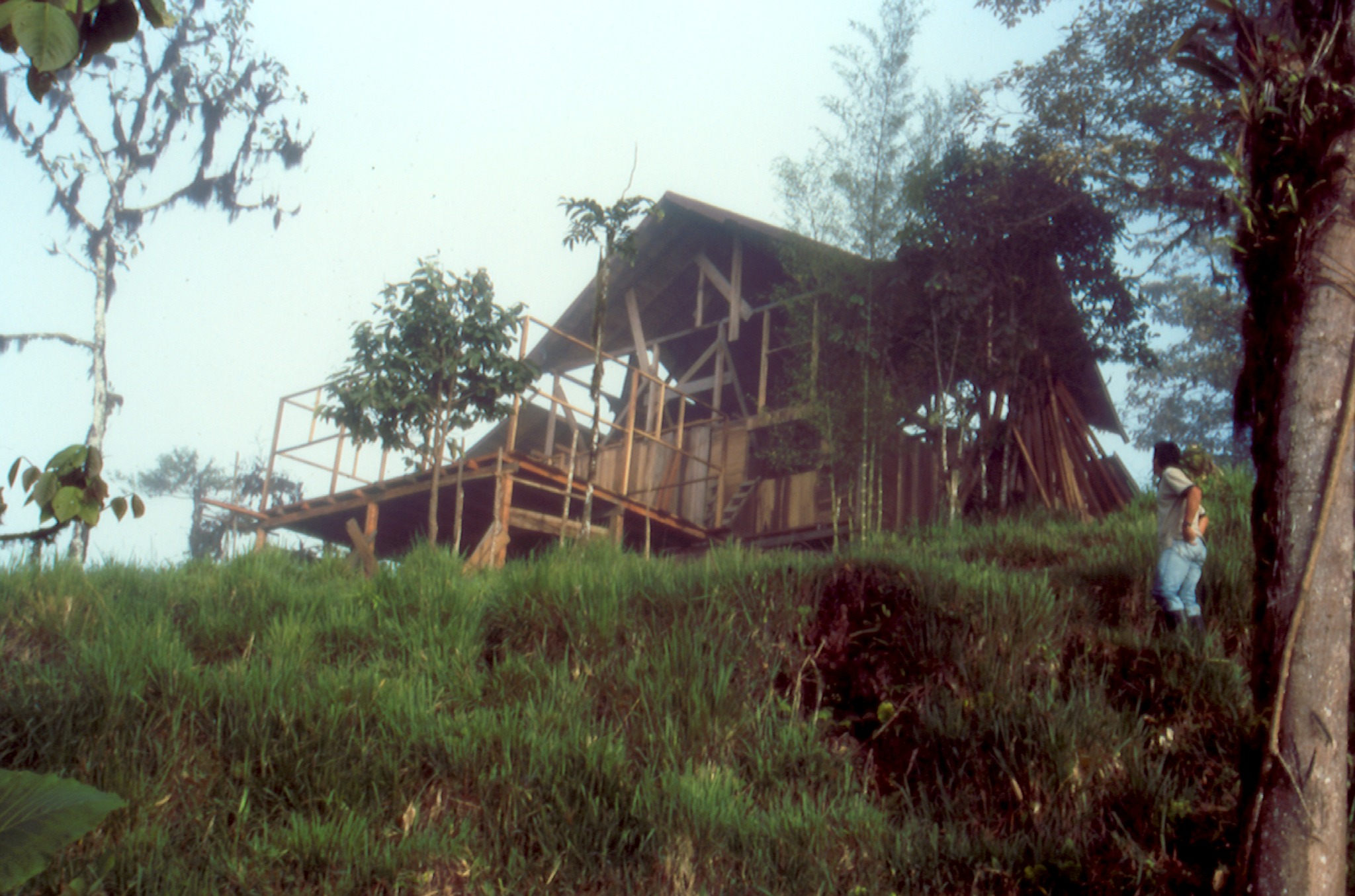 🌿 It all started with community and a mule trail.
From 1999 to 2000, our lodge was built with heart and teamwork—no roads, no electricity, just purpose.
Were you there?
#SantaLucíaCommunity #FromTheBeginning #CloudForestLodge #ConservationTourism