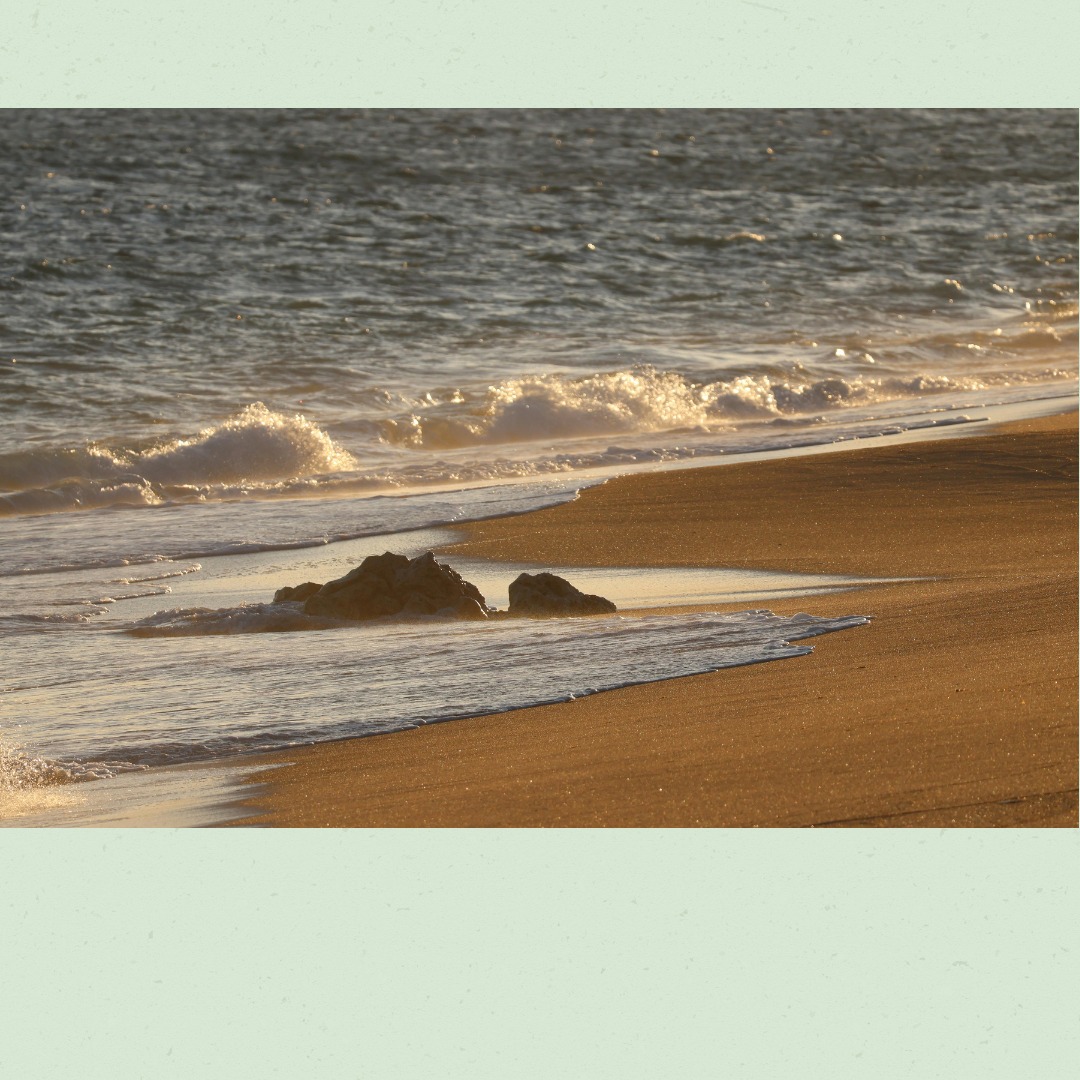 On my first trip to the ocean as a child, I was so mesmerized by seashells that I didn’t see a huge wave coming. It knocked me down, scraped my knee, and left me with a scar.
The wound healed, but the scar remains—a visible reminder of that day.
But not all childhood experiences leave visible scars.
Bullying, loss, stress at home, or feeling unseen can leave hidden marks that show up years later as:
✨ Fatigue
✨ Anxiety
✨ Brain fog
✨ Digestive issues
The Adverse Childhood Experiences (ACEs) study shows just how powerful these unseen scars can be.
But the good news? Healing is possible.
Your body remembers—but it can also be restored.
Book a free 45-minute call - link in bio or go here: https://tinyurl.com/ekmjbxwc
#WholenessRestored #NervousSystemHealth #HealingJourney #restoreandrenew #restorehealth #reststoreyourenergy #helpingclients #hoperestored #stressandtraumahealing #wellness #wellnessjourney #holisticwellness #functionalmedicine #integrativehealth #hormonehealth #healing #healingjourney #healthy #healthylife #healthhabits #healthybody #healthymind #stayhealthy #traumahealing #changestartswithme #differentlife #healthyhabitsforlife #wellnessconsultant #eirowellness #wholenessrestoredprogram #wellnessconsult
