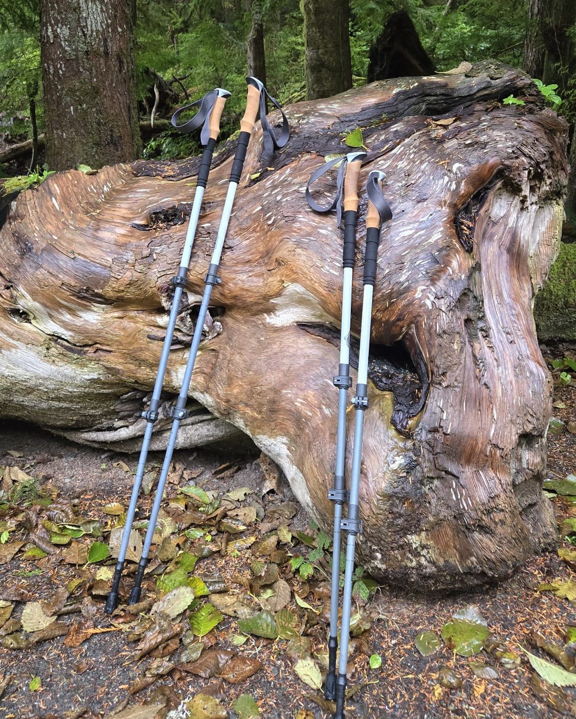 Achieving goals, building relationships, and indulging in some self care. Can it get any better than this?