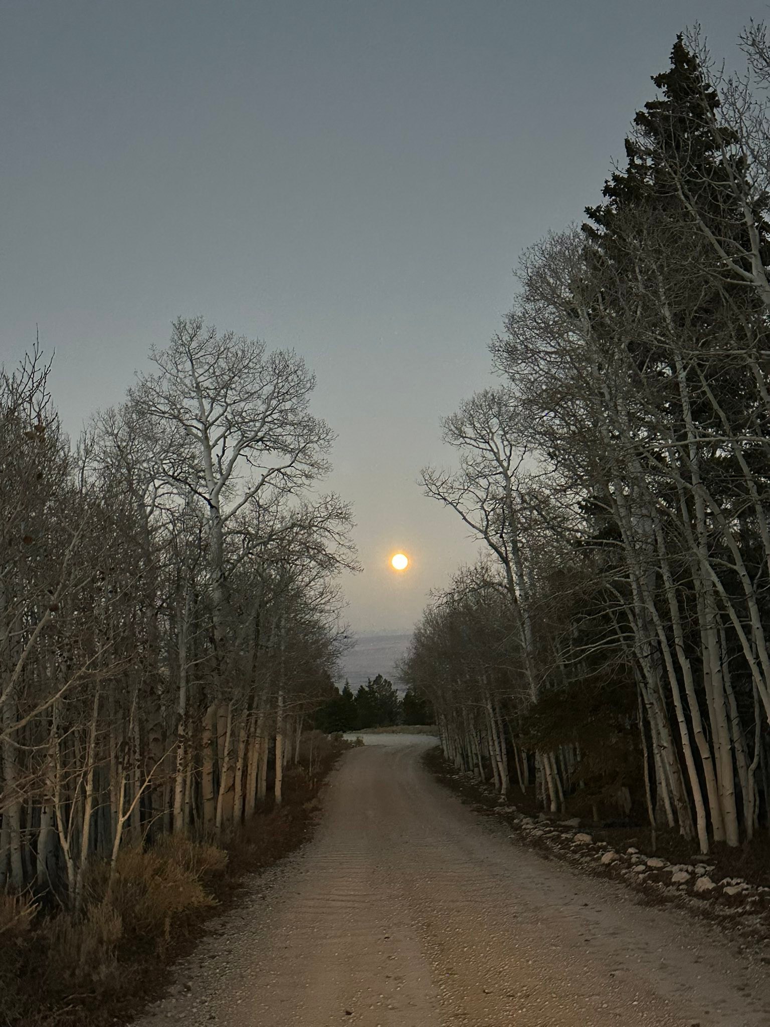 Mountain scenery shit:
episode 4.