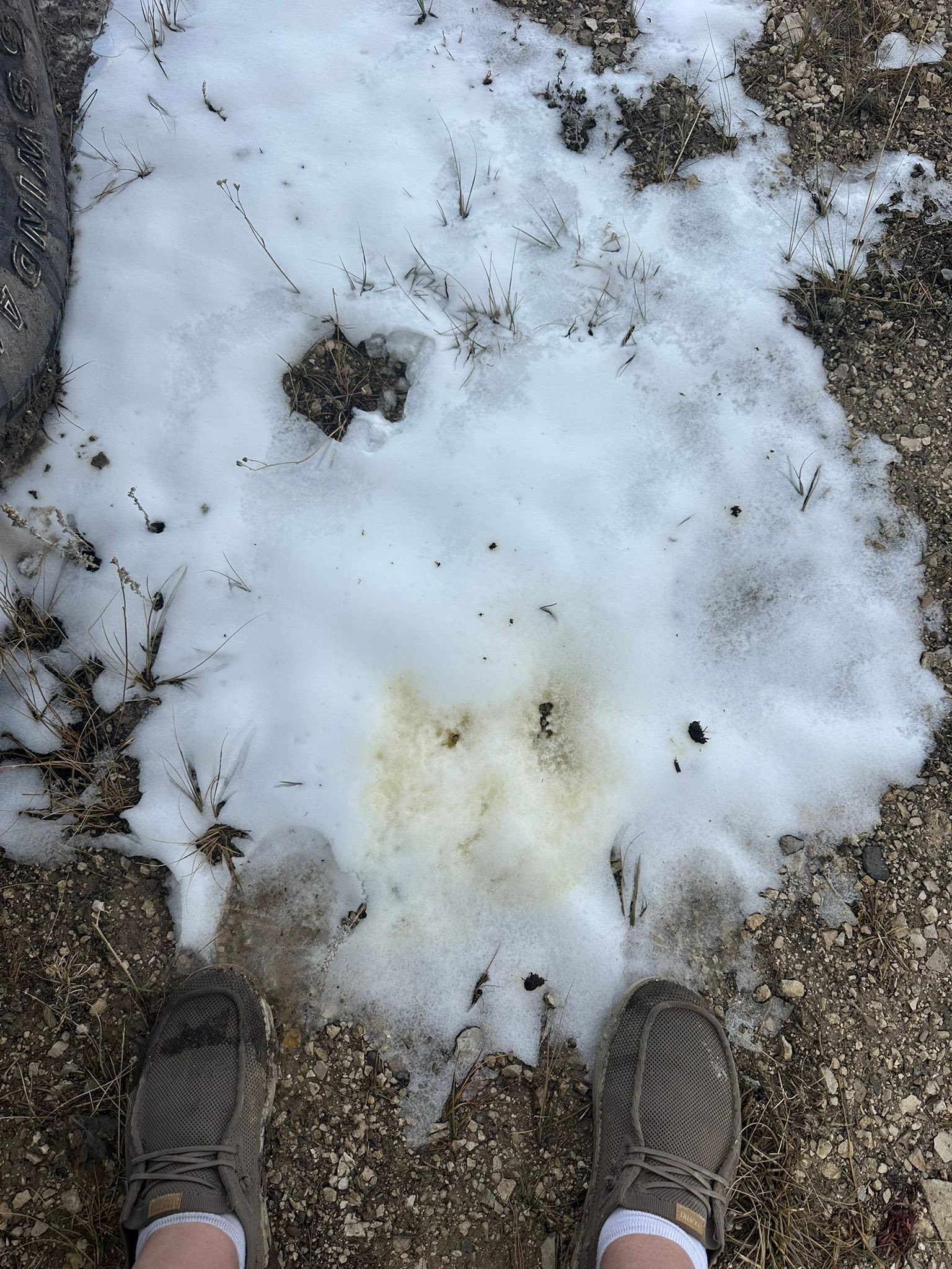 Huntin shit: episode 9
Good times with great company. 🍻
#DontEatYellowSnow
#HoldingOutForFrankenstein 
#ChasingTail
#HuntinStories