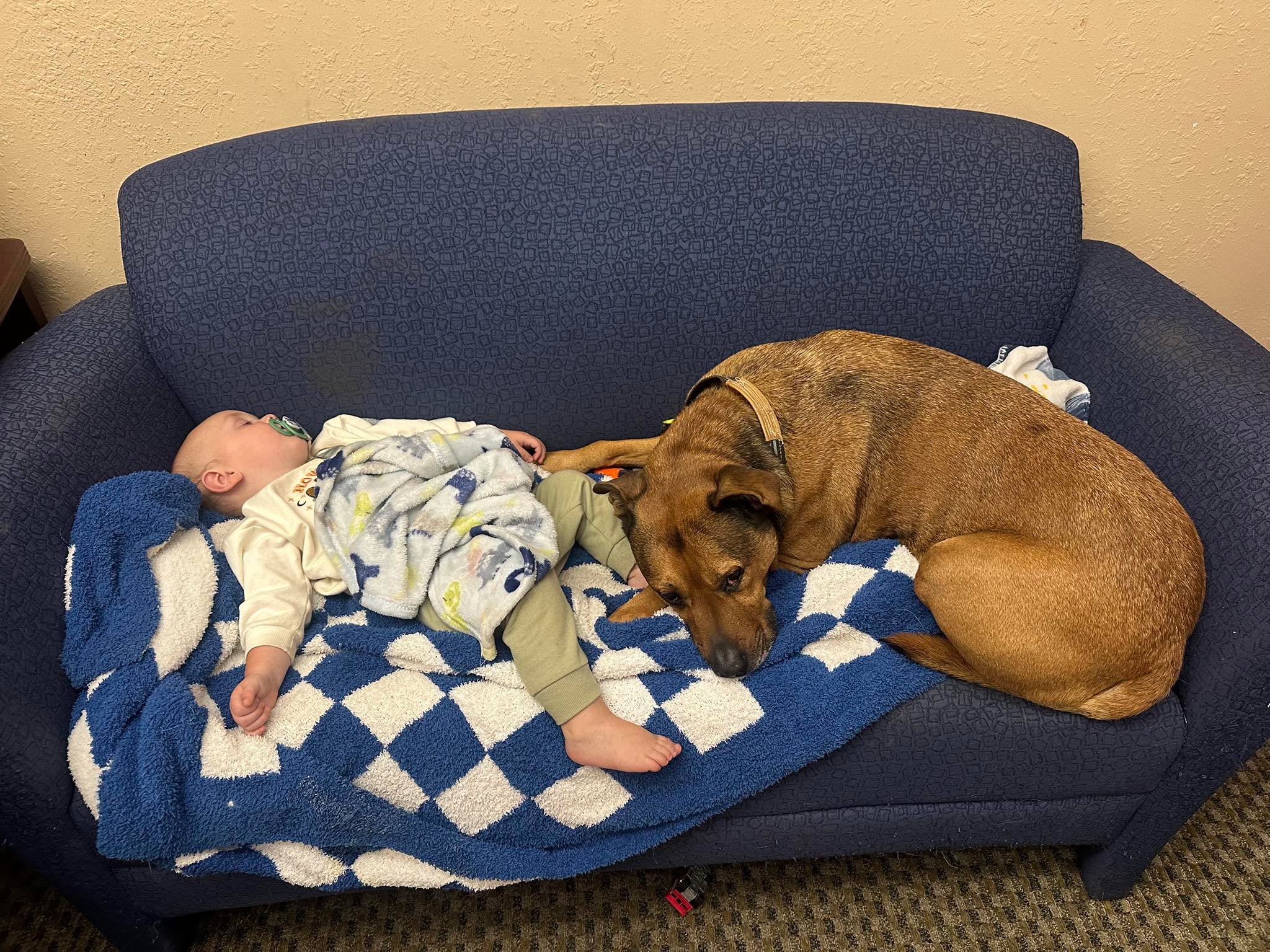 My old boy is looking after my grandbaby.