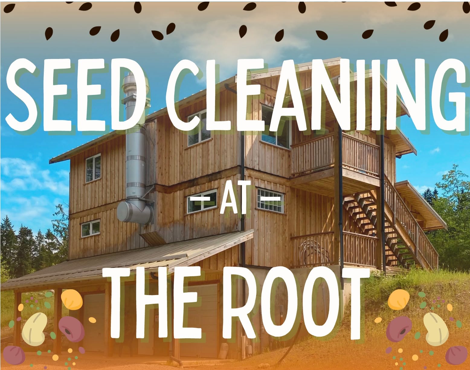 Clean Your Seeds at The Root! – Sign Up for a Time Slot
Have seeds to clean from your garden, farm, or community plot? Come to The Root and use the Office Clipper or Air Collum Seperator, both are mechanical seed-cleaning tools that help separate seeds from chaff, dust, and other debris — saving you time and effort!
These are perfect for cleaning dry, small to medium-sized seeds such as:
• Grains (like wheat, oats, quinoa)
• Brassicas (kale, broccoli, mustard)
• Lettuce, spinach, and other greens
• Herbs (basil, dill, parsley)
• Flowers (calendula, echinacea)
• Legumes (peas, lentils, smaller beans)
…and many more!
Please make sure your seeds are fully dry and free of large debris before your appointment. If you're unsure whether your seeds are a good fit for the machine, feel free to reach out and ask.
To Register: Please email sfarmer@ssifarmlandtrust.org with the date and time you would like to come from the dates mentioned below.
Dates to choose from: November 5th, 6th, or 12th anytime between 10 - 12 PM
Location: The Root Food Hub @ the Barn, 189 Beddis Rd
Mentorship: A member of the Seed Sanctuary Society will be present to guide you through the process of using the machines. Want to just come and learn but don't have seeds to clean? Feel free to pop by during the duration of the activity to see the machines in action.
Do you have wet seeds like berries or nuts? We also have a special machine called the Dybvig which can clean these- though we need to operate this on a sunny day so if you'd like to reserve a time to use this we are asking that you email us and we get you on a list to be notified. email: sfarmer@ssifarmlandtrust.org
Instead of payment, we invite you to donate a portion of your cleaned seeds to the Seed Sanctuary or make a financial donation to the Seed Sanctuary Society. A minimum donation of $20 grants you an life time membership to the Seed Sanctuary Society and supports their mission of preserving locally adapted seeds.
Let’s keep seeds local, clean, and ready to share.
We look forward to seeing you at The Root!