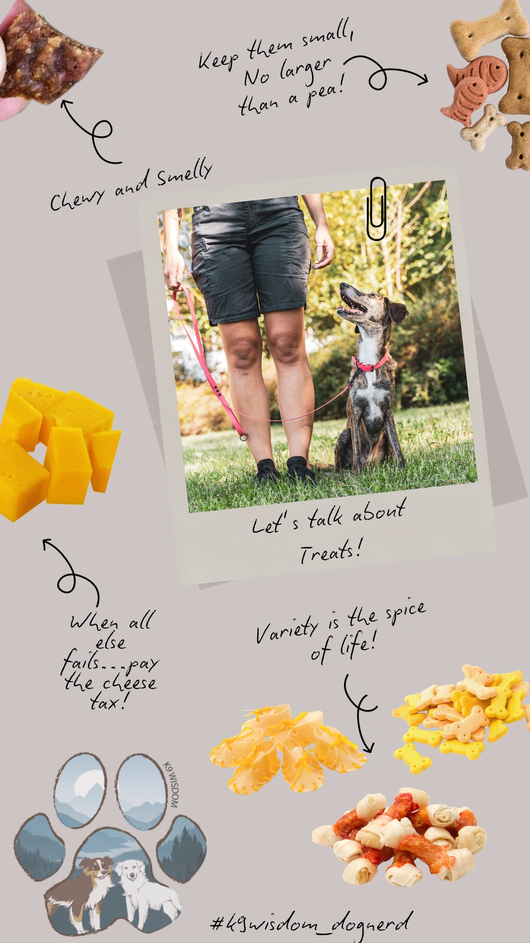 In our Mindful Monday series, we’ve been going over reinforcing behaviors and what reinforcements look like.
If you’ve been following along, you’ve seen there are a lot of different ways to reinforce desired behaviors, all of which are important tools in our training bag. If there are so many options, why then, does everyone seem to push the use of food-linked markers in training? 🤷
You’ve probably heard the saying, “the way to a man’s heart is through his stomach”. Well, the way to your dog’s brain 🧠 (easily and quickly) is usually through their stomach. 🍽️ Food is a basic necessity for all animals (including humans). This makes it the clearest and easiest form of reinforcement.
Here are some tips when working with food based reinforcement 😋
1️⃣ Keep them small: No need to offer a whole chicken, most large sized dogs are effectively rewarded with a treat the size of a pea
2️⃣ Chewy and Smelly: Dogs are most satisfied when their food is chewy in texture and has a great odor. This is especially helpful when working with picky eaters
3️⃣ Variety is the spice of life: Just like we can only hyper fixate on a single snack for so long, your dog craves variety as well. Not only that, but some behaviors or environments warrant ‘bigger’ rewards (i.e tastier treats). Also keep several types of treats handy during training sessions
4️⃣ Pay the Cheese Tax: Don’t be afraid to bust out the ‘good stuff’ when needed. Cheese, grilled chicken, hotdogs, these are all high value foods that can motivate almost any dog.
#k9wisdom_dognerd, #foodiefriday, #treatandtrain, #cheesetax