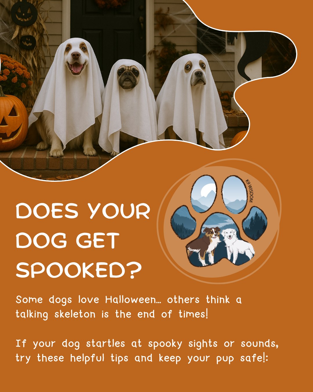 Does your dog get spooked on Halloween?
Some pups love all the sights, sounds and silly costumes... while others think a talking skeleton is the end of the world!
This Halloween, remember - what's fun for us might be frightening for them. From strange decorations to constant doorbell rings, it's easy for even the most confident dogs to feel uneasy.
Help your dog stay comfortable and safe:
- Give them space to watch decorations from a distance if they're unsure.
- Keep candy out of reach (chocolate and xylitol are toxic!).
- Offer a calming retreat with a chew or food puzzle while the trick-or-treaters make their rounds/
- Skip the full costume if your dog isn't a fan - a festive bandana works just as well!
Unplug, have fun, and make Halloween a treat for everyone - two-legged and four-legged alike!
#dogtrainingtips #k9wisdom_dognerd #happyhowloween #positivereinforcement #trickortreat