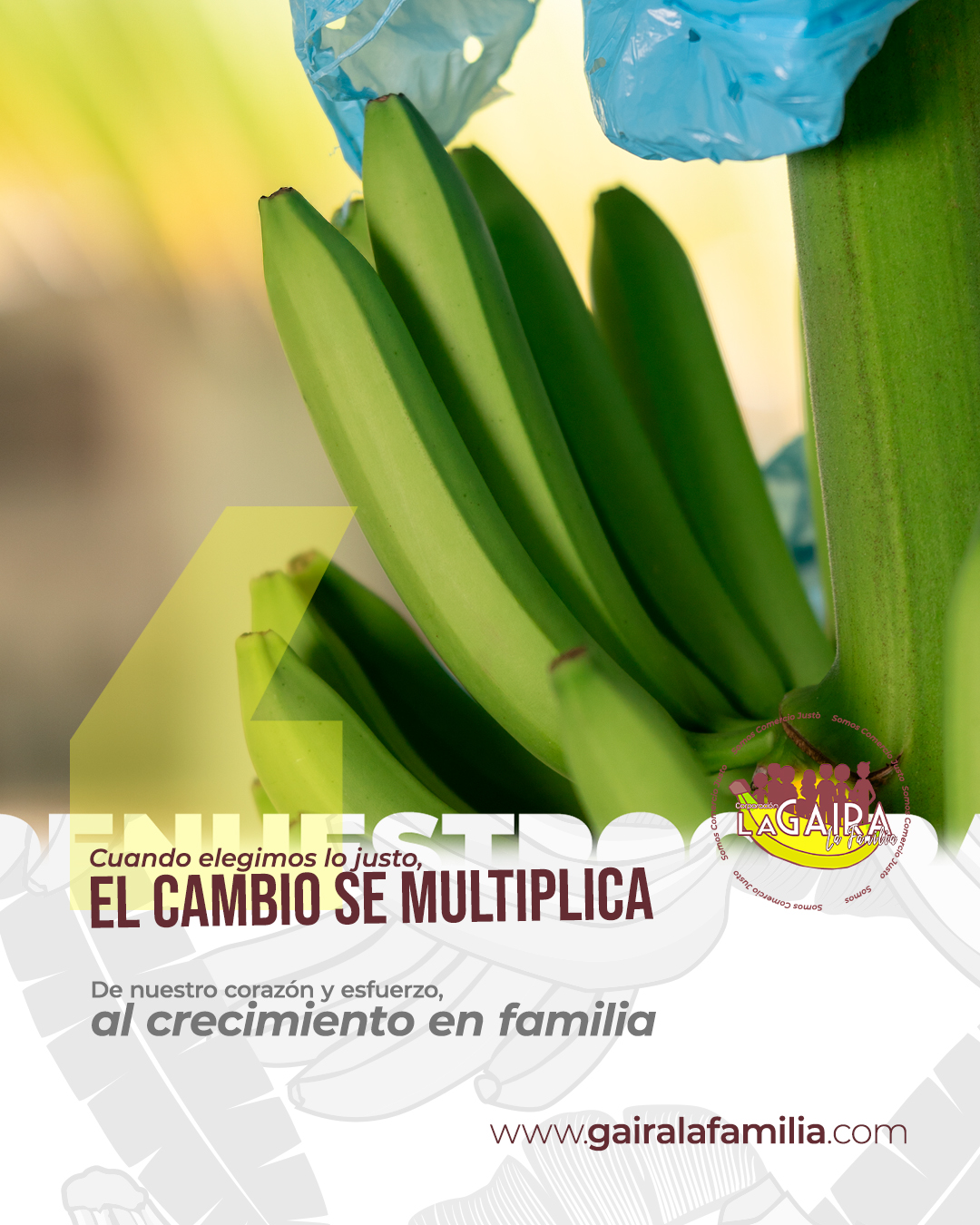 Cuando elegimos lo justo, el cambio se multiplica.
Cada decisión basada en la equidad y el respeto tiene un efecto que trasciende e impacta vidas, fortalece comunidades y protege el entorno que nos da vida. 🌱
El Comercio Justo no solo transforma economías, también inspira relaciones más humanas, donde la solidaridad y la responsabilidad se convierten en el verdadero motor del progreso. 🌍✨
Porque cuando actuamos desde la justicia, todos ganamos.
#agropecuarialagaira #calidad #sostenibilidad #colombia #Urabá #SomosComercioJusto #Fairtrade