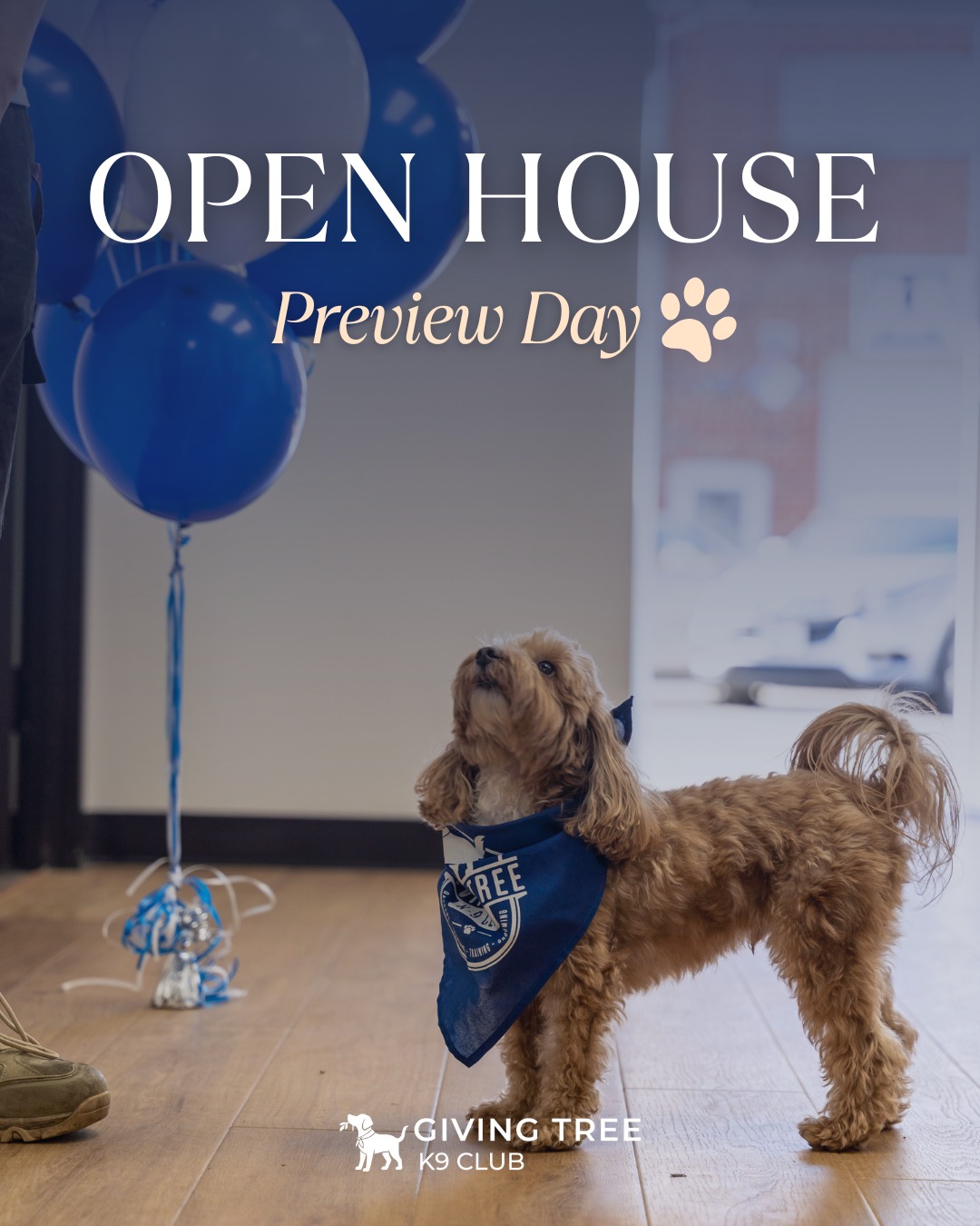 Giving tree K9 club open house
What an amazing day!
Thank you to everyone who stopped by to celebrate our upcoming opening with us.
From K-BBQ and goody bags to tours and puppy cuddles — we loved every moment spent with our new Falls Church community🐶
Your support means the world as we get ready to open our doors.
We can’t wait to welcome you and your pups back again very soon! 🐾
#GivingTreeK9Club #FallsChurchVA #OpenHouse