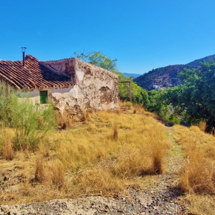 A fixer upper but a bargain!
Part of an old cortijo complex, this charming 37m² stone cottage was once used as grape-drying rooms and still retains original traditional features, including thick stone walls and antique drying equipment. With a complete restoration, it could become a magical “secret hideaway” surrounded by pure nature.
Planning permission for restoration has been confirmed by the town hall.
📍Comares, Andalucia
💰€25,000
🛌 N/A Beds
🛁 N/A Bath
🌱1,882m2 land
🏡 37m2
🔌N/A
💦Mains
For more info give us an email at info@offgridonlyspain.com and quote REF💛P356🖤
#offgridspain #offgridhomespain #forsalespain #ruralhomespain #offgridlivingspain #expatspain #countryhomespain #selfsufficentspain #selfreliantinspain #liveoffgridspain #offgridliving #buyhousespain #spain #liveinspain #movetospain #igersspain #spainiswonderful #cheapspanishhomes #buyspain