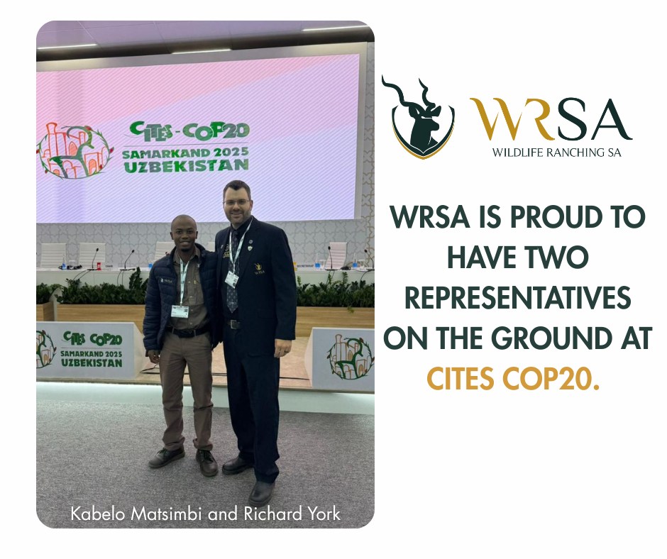WRSA is proud to have two representatives on the ground at CITES CoP20.
Kabelo Matsimbi and Richard York are actively present and keeping a close finger on the pulse of all developments impacting the wildlife sector and sustainable use.
#Wildliferanching #WRSA #WildlifeConservation
#CITES #CoP20 #SustainableUse #WildlifeEconomy #SouthAfrica #ConservationInAction #WildlifeTrade #SUCo