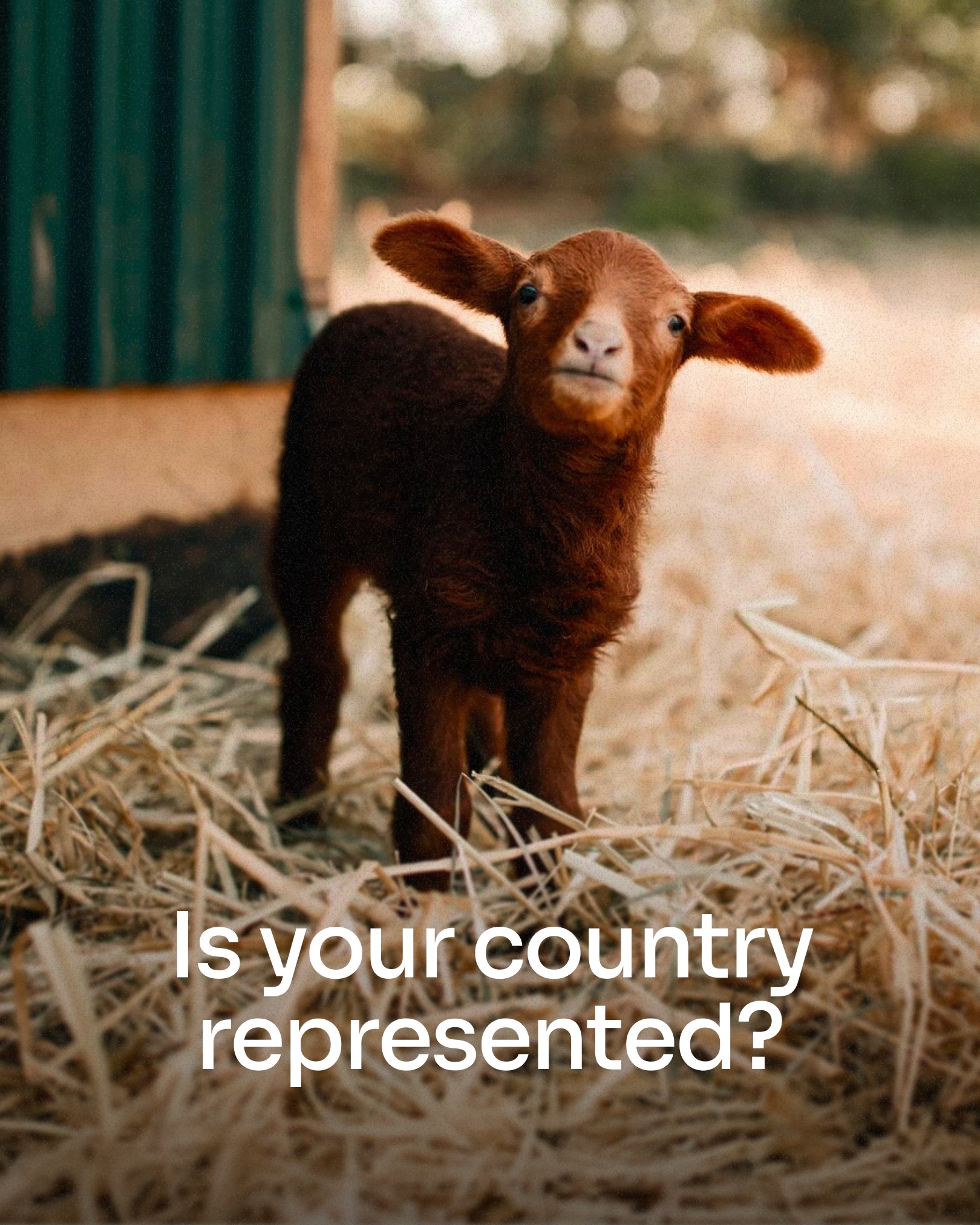 Top 50 Farmers is calling on visionary farmers from every corner of the EU, EEA, UK, and Switzerland to step forward and represent your country in shaping the future of food.
Whether you're championing sustainability, innovation, or traditional practices, your story matters. Let’s make sure your nation is seen on the map of Europe’s regenerative farming leaders.
📣Apply today to be part of the Top 50 and showcase how you’re transforming agriculture in your region.
Together, we celebrate the diversity and brilliance of Europe’s farmers and build the regenerative movement.
🔗 Link in bio to submit now.
#top50farmers #t50f2026 #T50F #regenag #regenerativeagriculture #regenerativefarming #soilhealth #knowyourfarmer #futureoffarming #europe