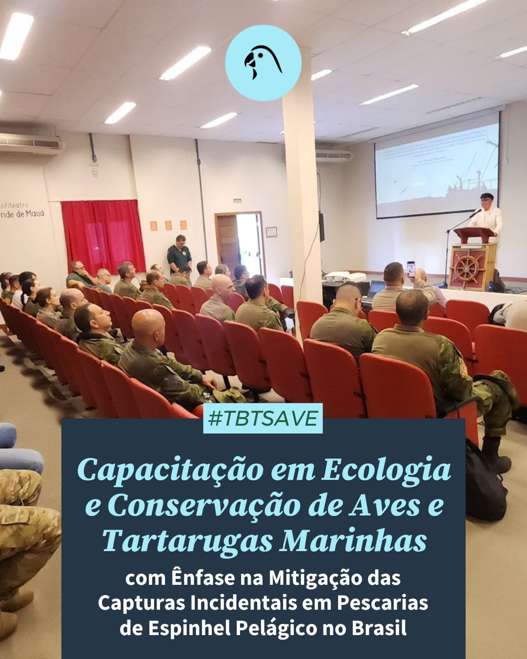#TBTSAVE I Os albatrozes estão entre as aves mais ameaçadas do planeta. Quinze das 22 espécies (68%) já correm risco de extinção. Uma das principais ameaças é a captura incidental em pescarias de espinhel. ⚠️
Para enfrentar esse cenário, o projeto Aves Marinhas realizou, em Rio Grande (RS), uma capacitação com equipes do IBAMA, PATRAM e Polícia Federal. O objetivo foi fortalecer o entendimento e a aplicação das normas que contribuem para a sustentabilidade da pesca e para a conservação da biodiversidade marinha.
A atividade, que também aprofundou o conhecimento sobre as medidas de mitigação obrigatórias no Brasil, integra os Planos de Ação Nacionais para a Conservação de Albatrozes e Petréis e de Tartarugas Marinhas (ICMBio/MMA), além de apoiar os compromissos assumidos pelo Brasil no âmbito do Acordo para a Conservação de Albatrozes e Petréis (ACAP) e da Convenção sobre Espécies Migratórias (CMS). 🌍
🔎 Saiba mais em: www.savebrasil.org.br
#savebrasil #educacaoambiental #advocacy #avesmarinhas