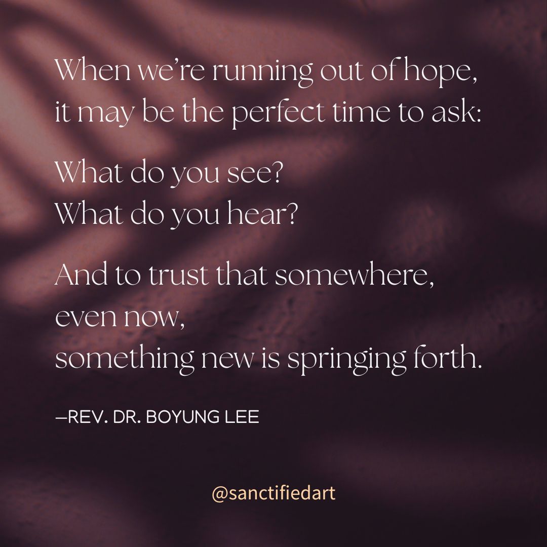 Advent does not require us to manufacture hope.
It invites us to bring our emptied hope to Jesus,
to ask the hard questions,
and to listen again for signs of God’s nearness.
When we’re running out of hope,
it may be the perfect time to ask:
What do you see?
What do you hear?
And to trust that somewhere, even now,
something new is springing forth.
—Rev. Dr. Boyung Lee, from her commentary on Matthew 11:1-11 | @sanctifiedart