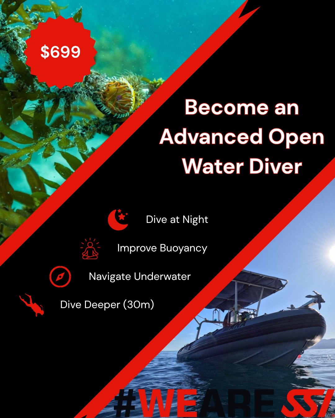 We have another set of dates and spaces for and advanced program!
📆 16th - 17th January
💵 $699
✅ x5 SCUBA Dives
✅ All Equipment Provided
✅ Time Learning from Experienced Divers
🎁 Includes Club Membership
🧑🚀 Improved Buoyancy
🧭 Primo Navigation
🌠 Diving.... At Night!
📉 Deep Diving (upto 30m)
⛳ DSMB Deployment
Signing on to this course will get you 15% off the boat tour in the morning of the 17th!
Enquire Now! info@davesdivingkaikoura.com
#SSI #ssi #advancedscubadiver #learnscuba #davesdiving #kaikoura