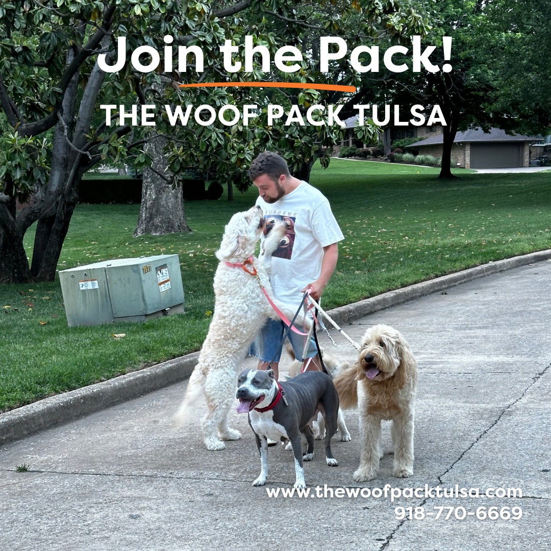 Busy day? We’ve got your dog covered.
Our midday pop-ins are perfect for potty breaks, playtime, and peace of mind.
🐕 Consistent care. Local walkers.
Book with The Woof Pack Tulsa today! Call or text 918-770-6699!
#thewoofpacktulsa #jointhepack #walkwithus