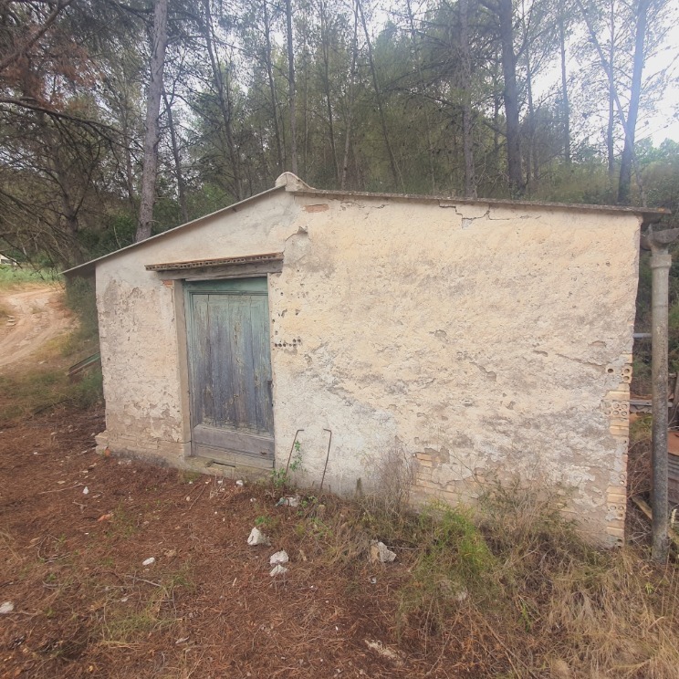 This well-located plot of agricultural land sits directly beside the road, offering excellent year-round access just outside the village of Benifallet. The land is currently cultivated with approximately 400 olive trees and is ideal for continued olive production or for developing a productive vegetable garden close to the village.
📍Benifallet, Catalonia
💰€18,000
🌱10,000m2 land
🏡 12m2
🔌N/A
💦Agricultural
For more info give us an email at info@offgridonlyspain.com and quote REF💛P364🖤
#offgridspain #offgridhomespain #forsalespain #ruralhomespain #offgridlivingspain #expatspain #countryhomespain #selfsufficentspain #selfreliantinspain #liveoffgridspain #offgridliving #buyhousespain #spain #liveinspain #movetospain #igersspain #spainiswonderful #cheapspanishhomes #buyspain