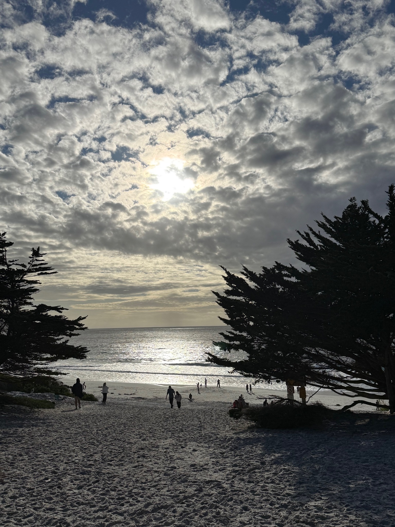 Travel Deals to Watch for in January
Traveling in January = Smart Deals Right Now
January is a great month to travel if youâre flexible. âď¸
Many destinations are quieter after the holidays, and that often means better value, fewer crowds, and easier flights.
Right now, strong January travel opportunities are showing up in places like Mexico and the Caribbean, Italyâs cultural cities, Morocco, the Canary Islands, and parts of Southeast Asia. The real value isnât just price â itâs better weather timing, availability, and a more relaxed experience.
January Is Also the Best Time to Plan Future Travel
Even if youâre not traveling this month, January is one of the smartest times to plan trips for later in the year. đ
This is when availability is strongest and many offers focus on added value â flexible booking terms, upgrades, and inclusions â not just discounts.
Planning now gives you more choices, better pacing, and fewer compromises later.
Follow us at kiliantravelandlifestyle.com for travel ideas, deals, and girls trips.
#luxurytravelagent #travelplanning #TravelDeals #travelagent #SmartTravel #travelblogger #womenthattravel #womenthattravel #carmelbeach #liveyourbestlifenow #emptynesterstravel #midlifejourney #PositiveAging