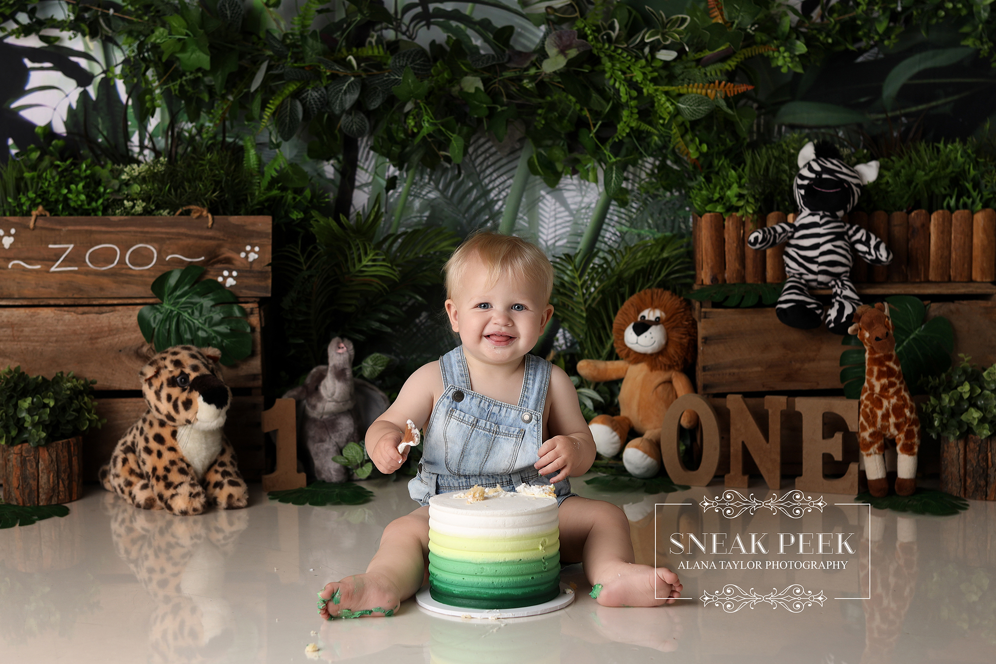 Cute Jungle. Serious Destruction.
Kai entered his Jungle Safari setup looking calm, innocent, and very much under-estimating the cake 🎂🌿 Denim overalls on, jungle animals watching closely, ONE signage standing proudly… and then the cake met its fate. Hands straight in. Feet casually involved. Spoon briefly respected before being completely ignored 🥄🐒
Green buttercream was smashed, smeared, relocated and generously shared with the floor while Kai worked his way through the cake like a tiny explorer on a sugar-fuelled mission 🦁🍰 The animals stayed put. The cake did not. Smiles everywhere. Crumbs absolutely everywhere ✨
This is the moment parents apologise for the mess. This is the moment I grin behind the camera because this is exactly how a first birthday is meant to look 📸💚 Chaos captured. Cake defeated. Jungle conquered.
#cakesmashphotography #babyphotographymelbourne #firstbirthdayphotography #junglesafaricakesmash #melbournebabyphotographer #cakesmashmelbourne #clydephotographer #berwickphotographer #cranbournephotographer #pakenhamphotographer
Melbourne’s Leading Newborn, Baby and Cake Smash Photographer – Book Early!
www.alanataylorphotography.com.au
Gorgeous Cake by @Procrastibakery & Eatery
https://www.facebook.com/profile.php?id=61558649999526
- Newborn Photography Melbourne
- Smash Cake Photography Melbourne
- Newborn Photographer Melbourne
- First Birthday Cake Smash Photos Melbourne
- Cake Smash Photography Near Me
- Cake Smash Photos Melbourne
- Newborn Photography Near Me
- Newborn Baby Photographer Melbourne
- Cake Smash Photographer Melbourne
- Affordable Newborn Photography Melbourne
#cakesmashphotographymelbourne #cakesmashphotographermelbourne #babyphotographermelbourne #firstbirthdayphotos #smashcakemelbourne #cakesmashfun #firstbirthdaycakesmash #firstbirthdaysmashcake #smashcakephotographermelbourne #cakesmashphotosmelbourne #babyphotographyideas #cakesmashideas #cakesmashsession #firstbirthdaysmashcake #babysmashcakephotos #babyphotographyprops #melbournemums #melbournebabyphotographer #cakesmashinspo