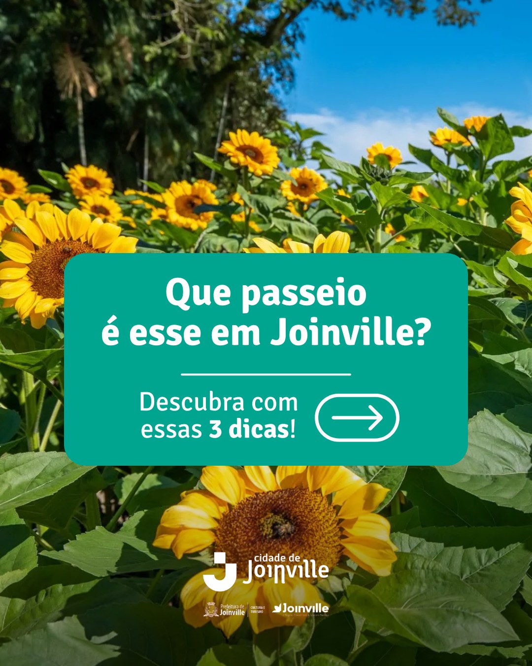 Será que você consegue descobrir qual lugar é esse em Joinville?
.
.
.
.
Estamos falando do @visitehemero. O local funciona de terça a domingo, das 9h às 18h, e reúne nove jardins floridos, com mais de 300 espécies de plantas para conhecer, além de atrações para crianças e uma cafeteria com várias delícias.
Não deixe de levar uma roupa extra para as crianças, toalha e protetor solar, pois é bem provável que elas queiram se molhar na pedra furada.
? Garanta o seu ingresso no site: visitehemero.com.br
#VisiteJoinville #Joinville #TurismoJoinville #CidadedeJoinville #CidadedeExperiencia #MinhaJoinville