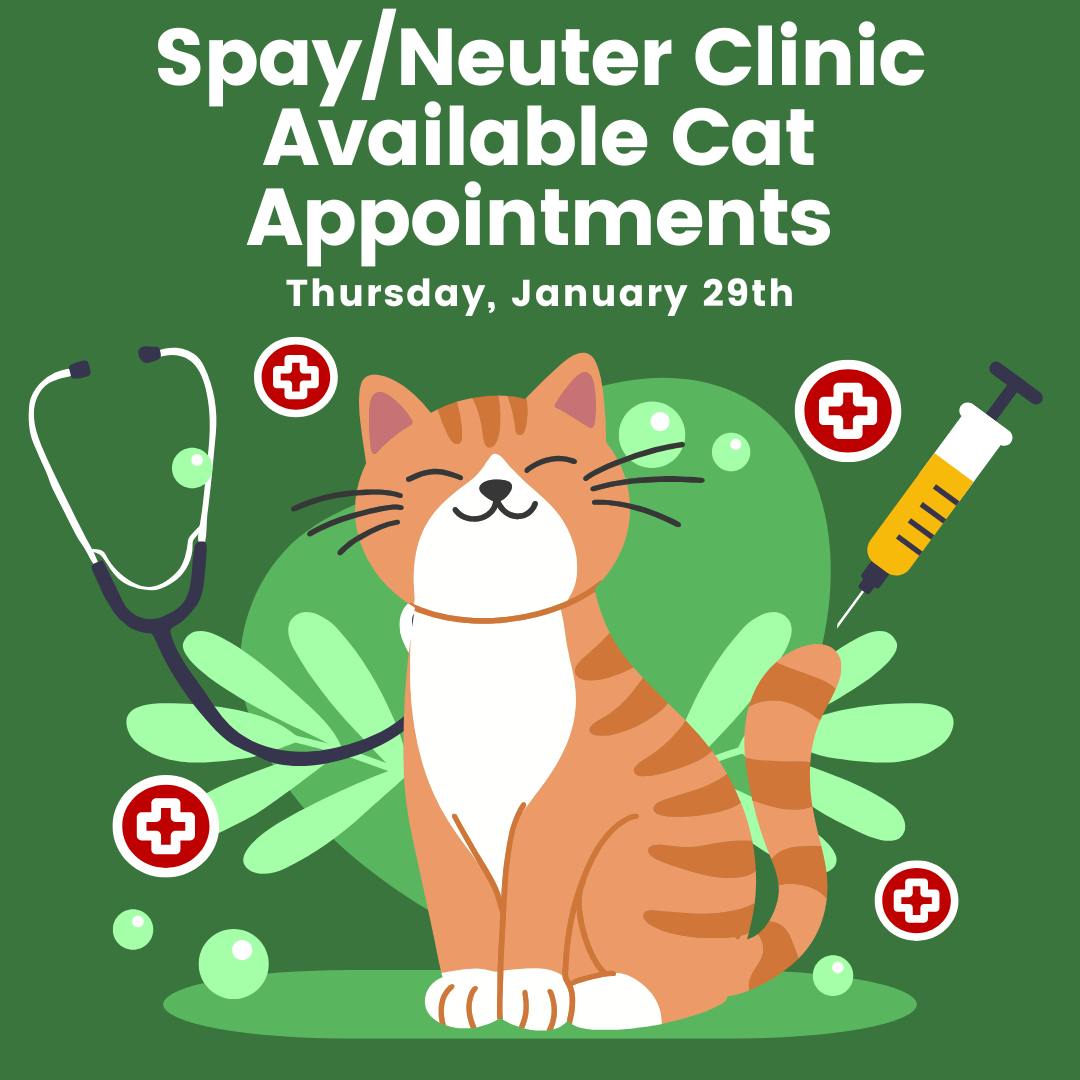 AVAILABLE APPOINTMENTS?
Have you been waiting to get your cats spayed and neutered?? Now is your chance to get then scheduled! We have appointments available for male and female cats in our Spay/Neuter Clinic on January 29th!
To schedule an appointment, please go to https://www.chemungspca.org/affordable-spay-neuter-clinics