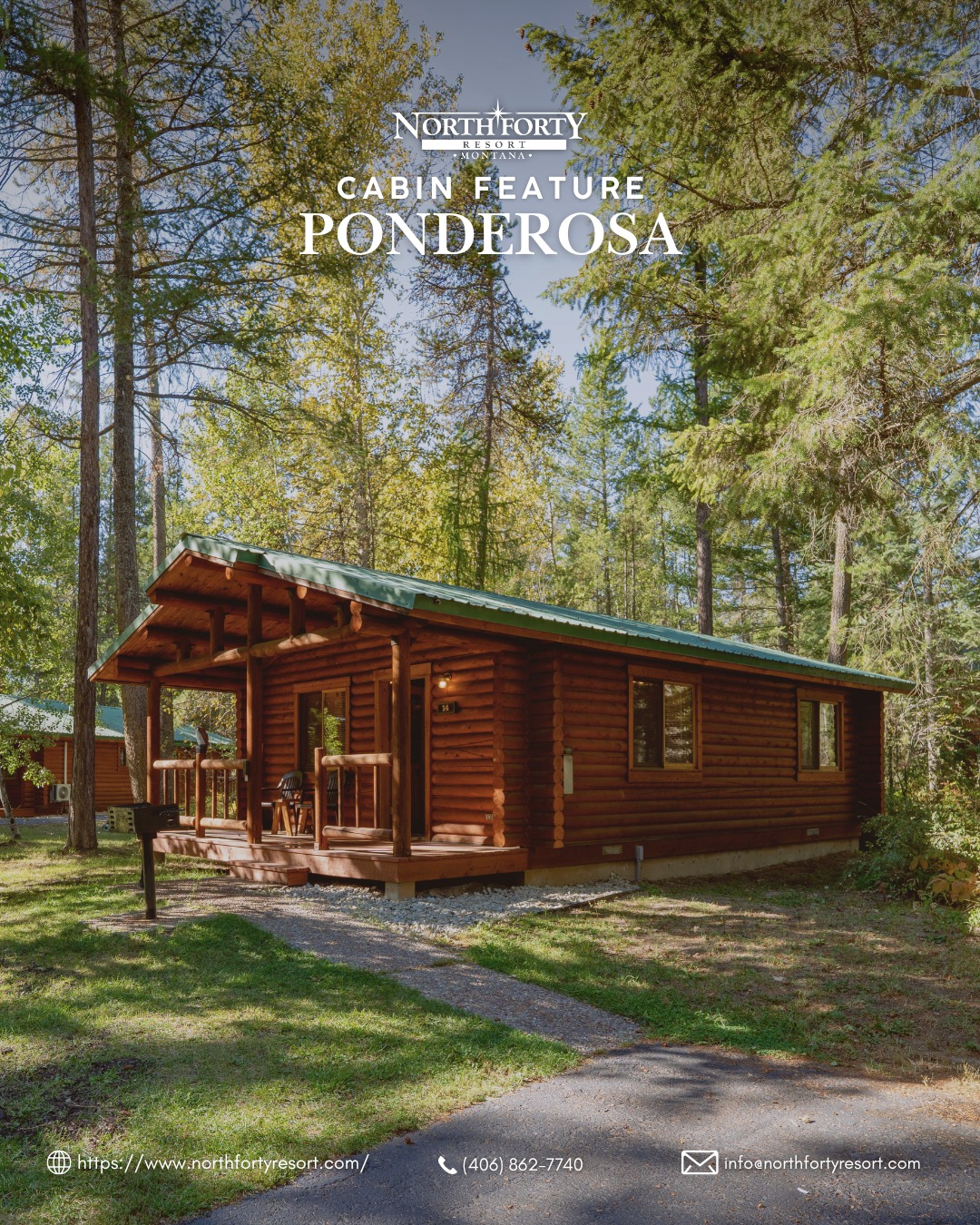 Cabin Feature Wednesday is here! ✨
This week’s featured cabin is the ????????? ?????. ? A cozy one-bedroom cabin sleeping up to 5 guests, the Ponderosa offers rustic comfort with pet-friendly options available.
Book your stay:
? bit.ly/BookNFR
?(406) 862-7740
?Columbia Falls, Montana
#NorthFortyResort #GlacierNationalPark
#CabinLife #NatureEscape #Montana