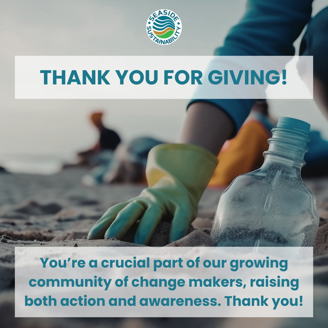 At the end of this holiday season, we want to thank everyone who generously donated to support Seaside Sustainability and help us continue to do the work we love for our oceans and communities.
Thank you for your support. 💚
#SeasideSustainability #ThankYou #Grateful #OceanConservation #ProtectOurOceans #CommunitySupport #EnvironmentalAction
