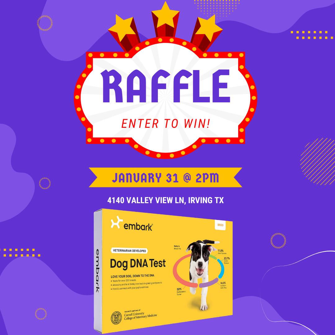 Hot cocoa + shelter pets = the coziest afternoon!☕🐾
Stop by the shelter tomorrow starting at 2pm for some hot cocoa, and you’ll be entered to win a FREE Embark DNA test! Sip, visit, and maybe learn your future pet’s breed mix while you’re at it!
📍 4140 Valley View Lane, Irving, TX 75038
🕐 Hours: Tues–Fri 11am–6pm | Sat 10am–5pm