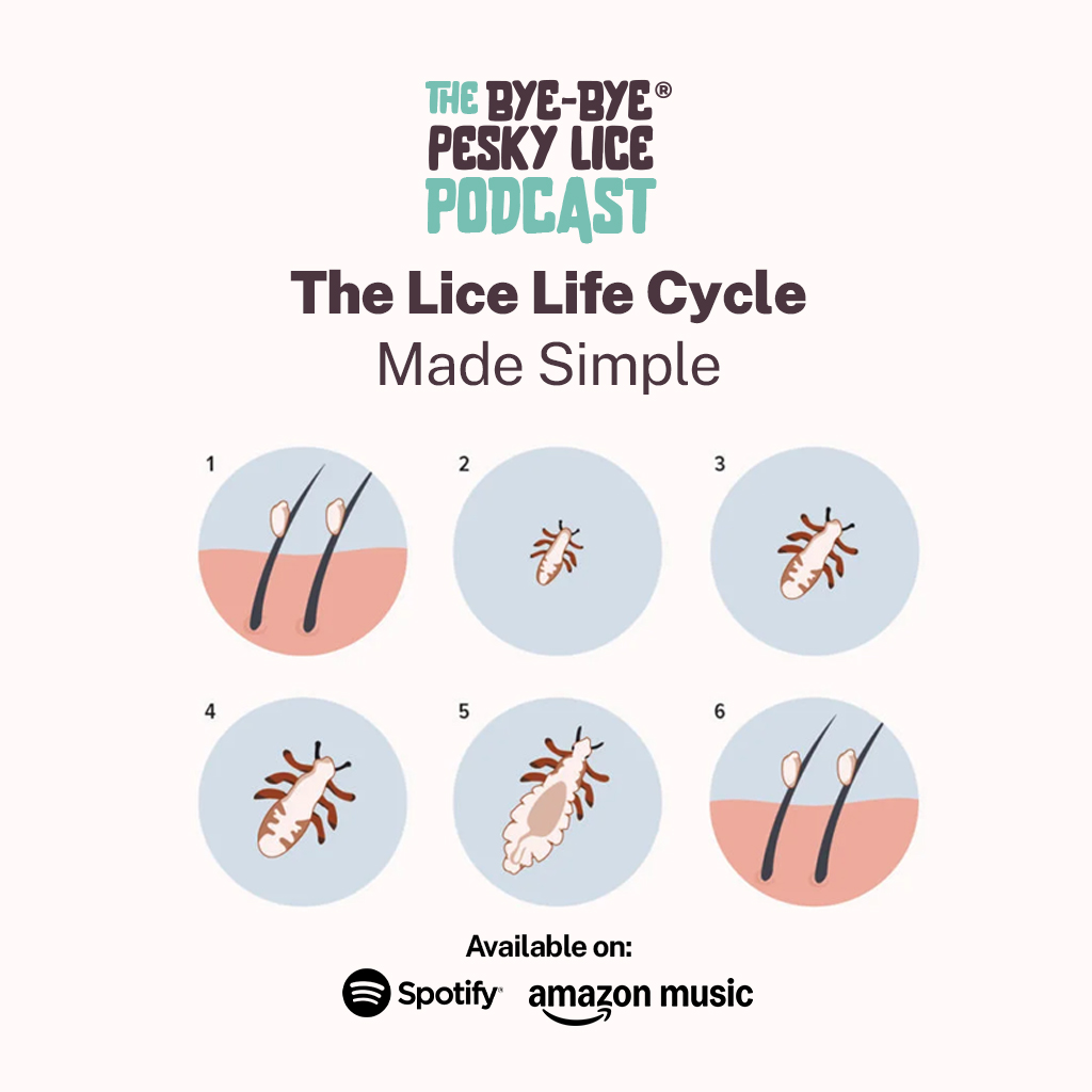 Did lice come back… or was it just timing?
One of the most common frustrations parents have is thinking a treatment failed—
when in reality, it’s the lice life cycle doing exactly what it does.
Understanding when lice hatch changes everything.
🎙️ New episode:
The Lice Life Cycle Made Simple — So Your Timing Is Perfect