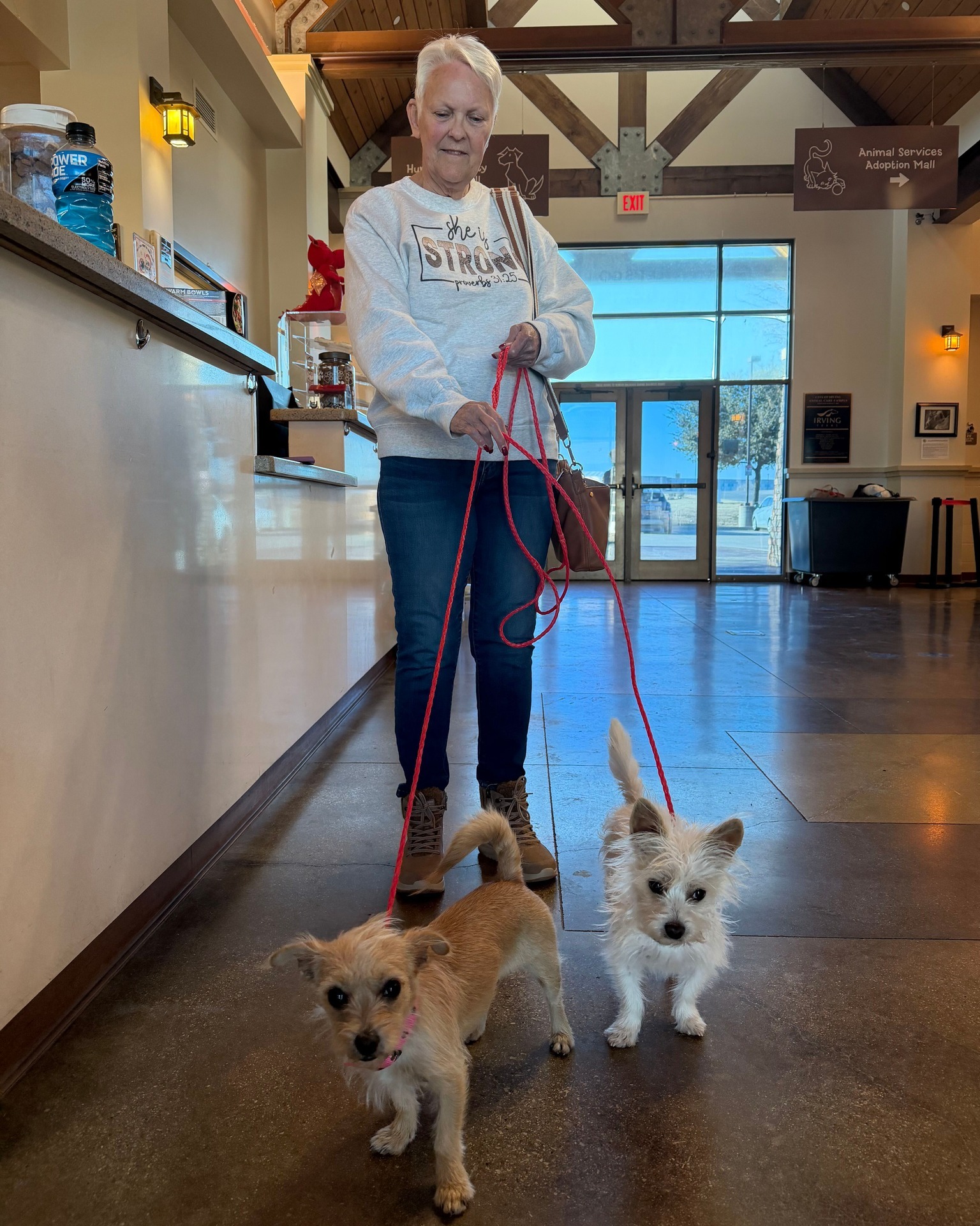 We're overjoyed to share that our bonded pair of littles, Roxie and Ray, have found their perfect human. A huge thank you to their wonderful new mom for helping us ensure they go home together 💘